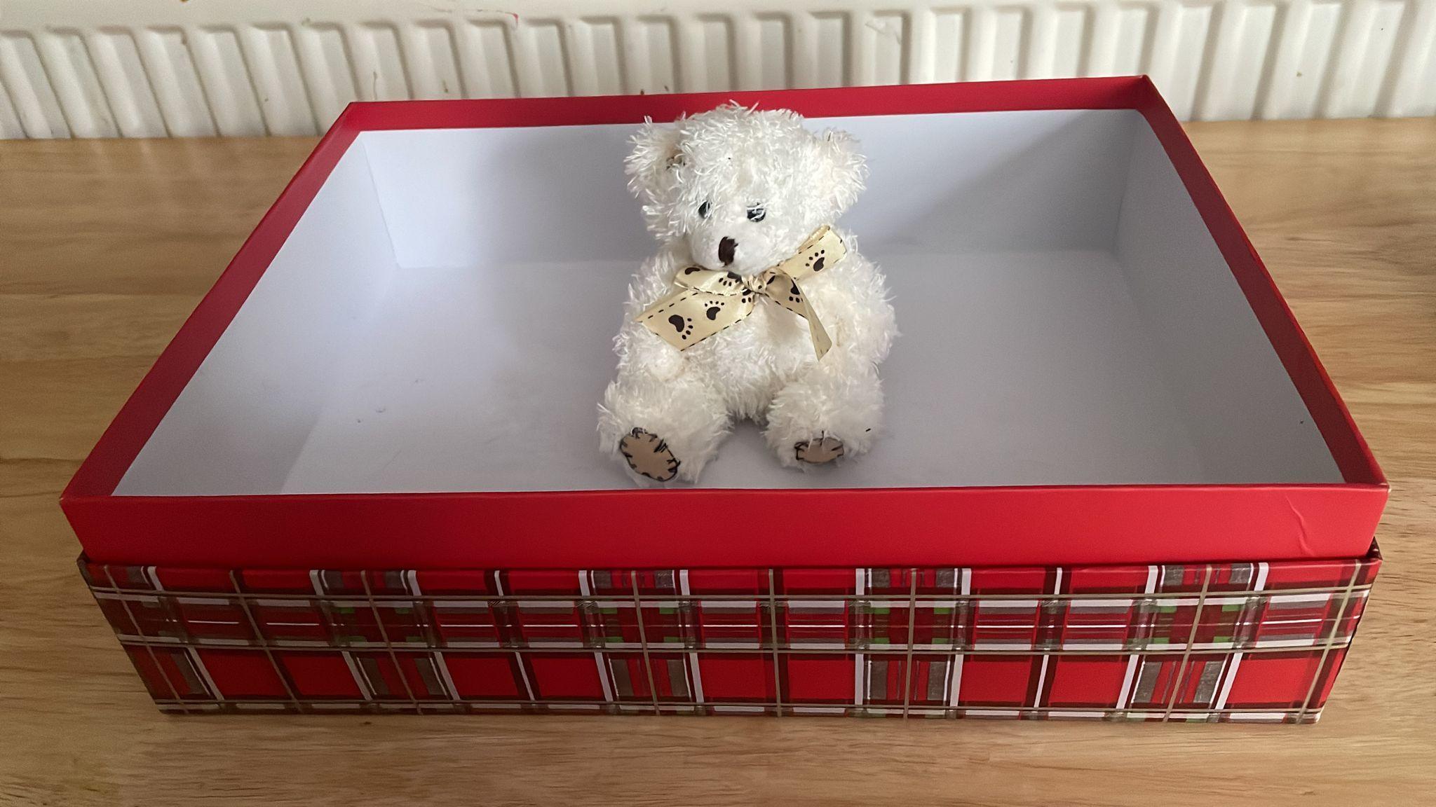 Small white teddy bear in red and green tartan-patterned cardboard box