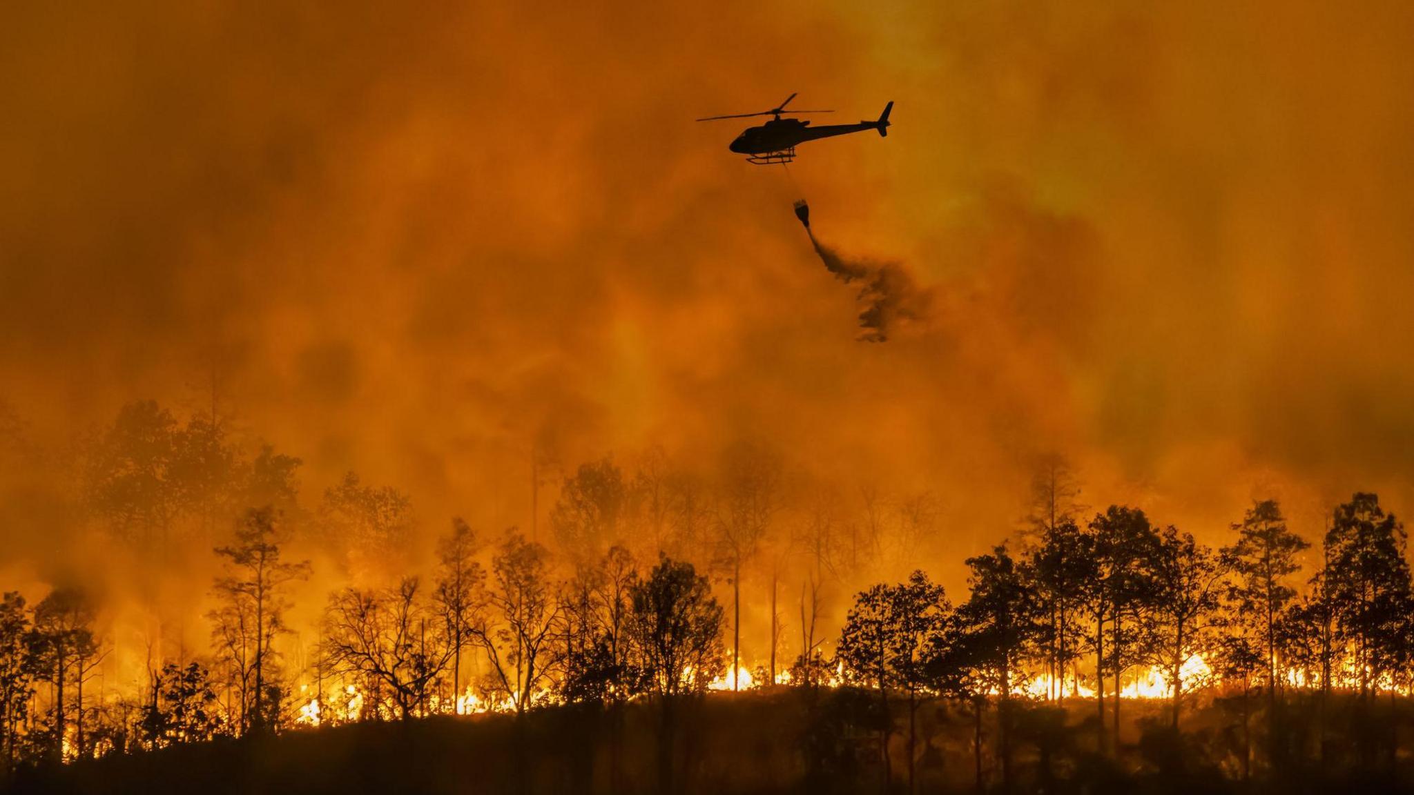 wildfire helicopter