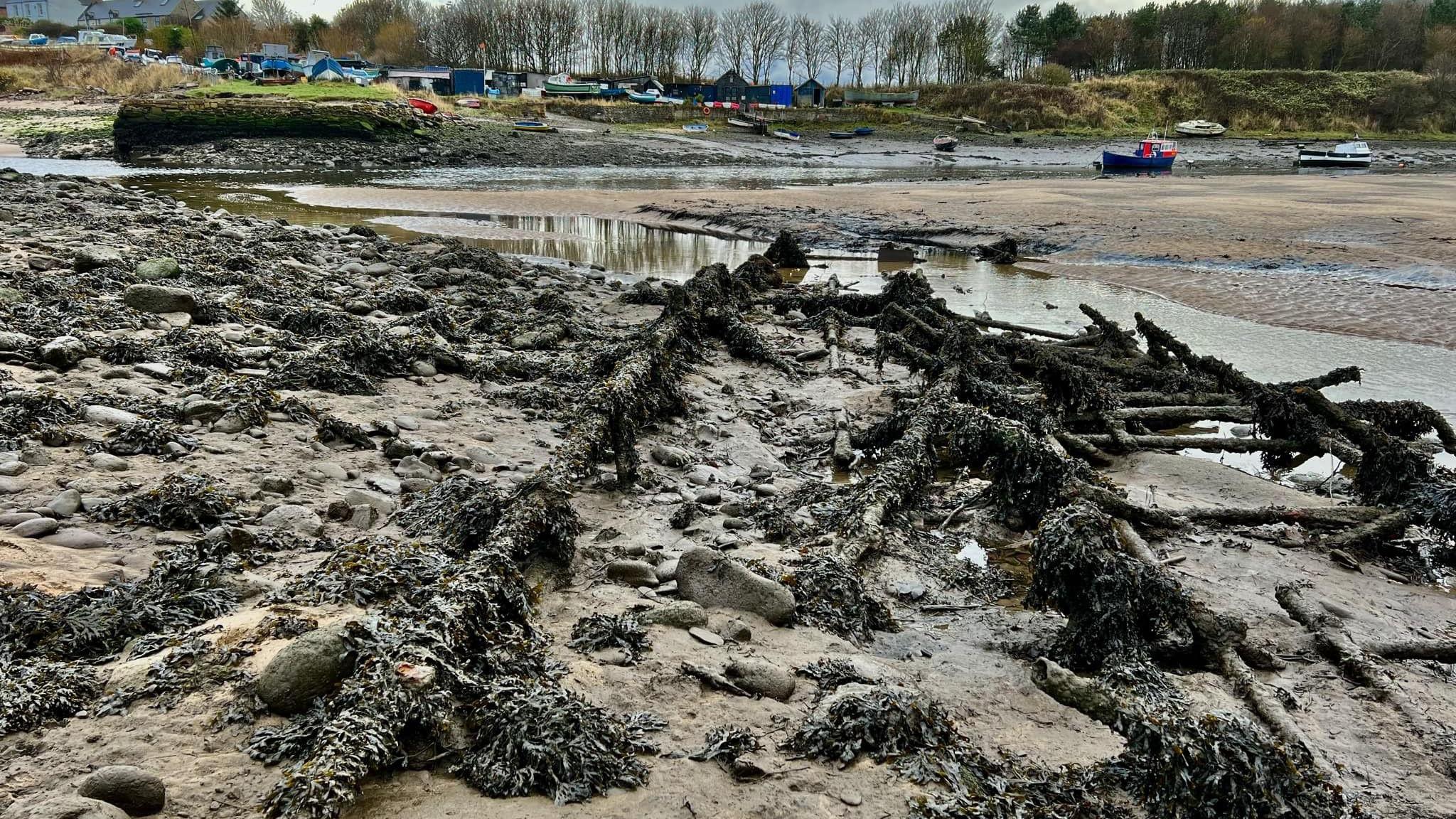 Metal pipes covered in seaweed run into the river. In the background there are boats.