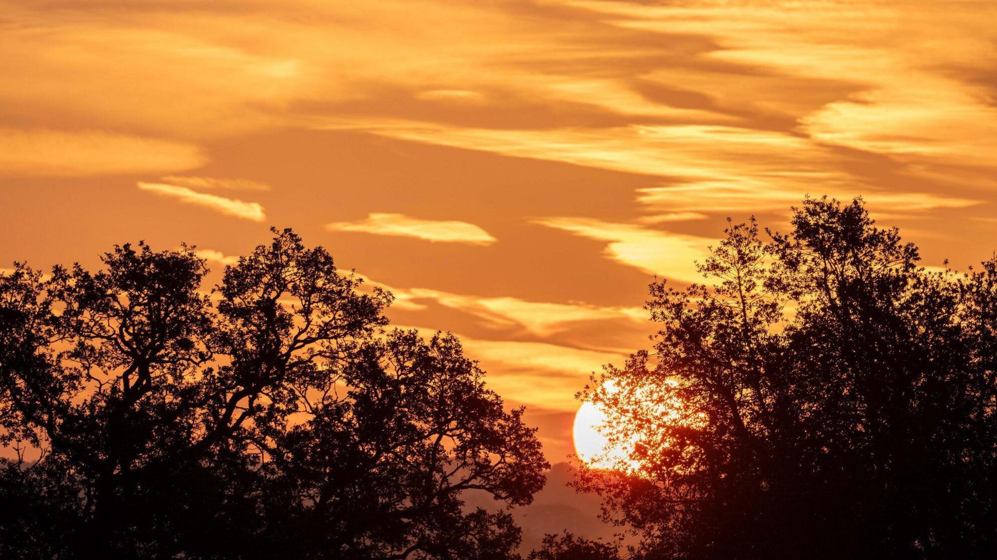 A large golden sun rises above the treeline casting orange and yellow hues across the sky catching bright highlights off clouds.