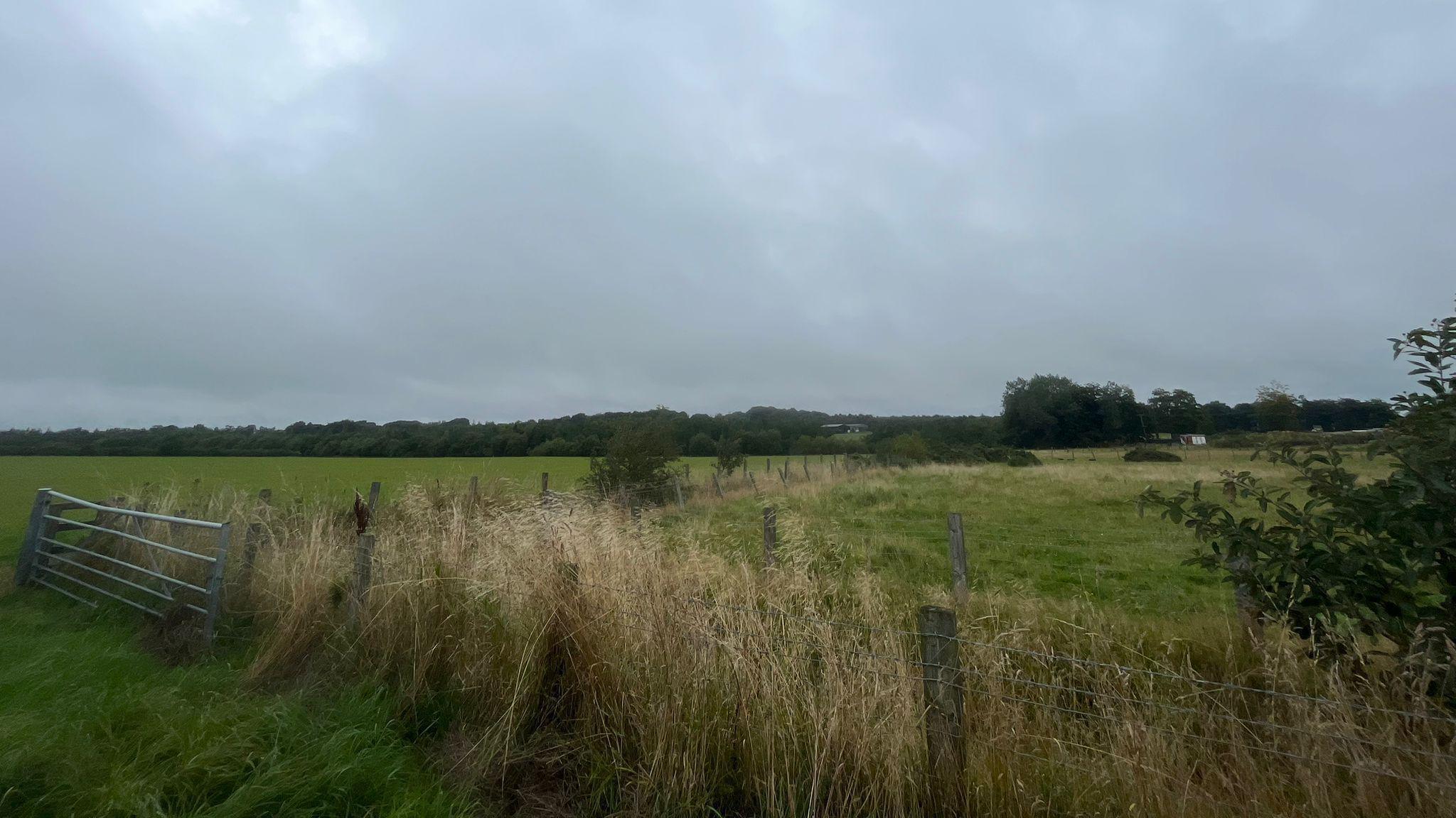 Green fields separated by wire fences. In the foreground is long brush and in the distance is woodland.