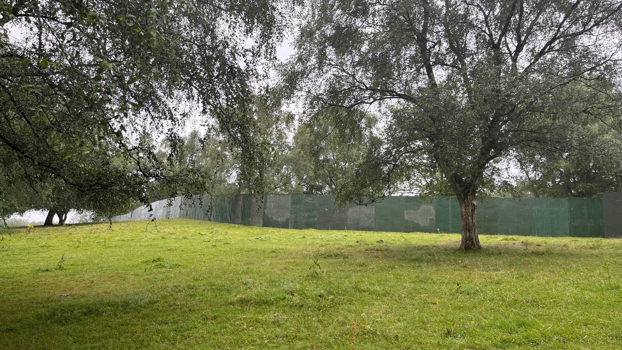 Trees on a grey day in front of the newly-erected green fence.