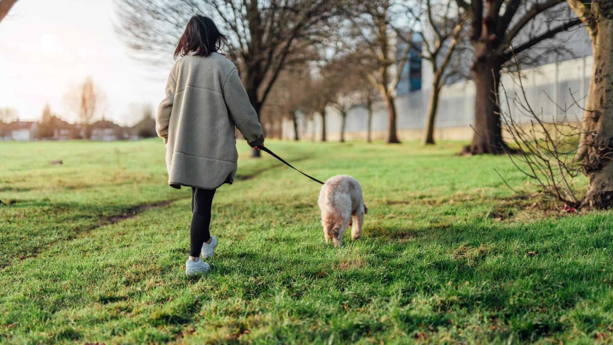 A woman walking a dog