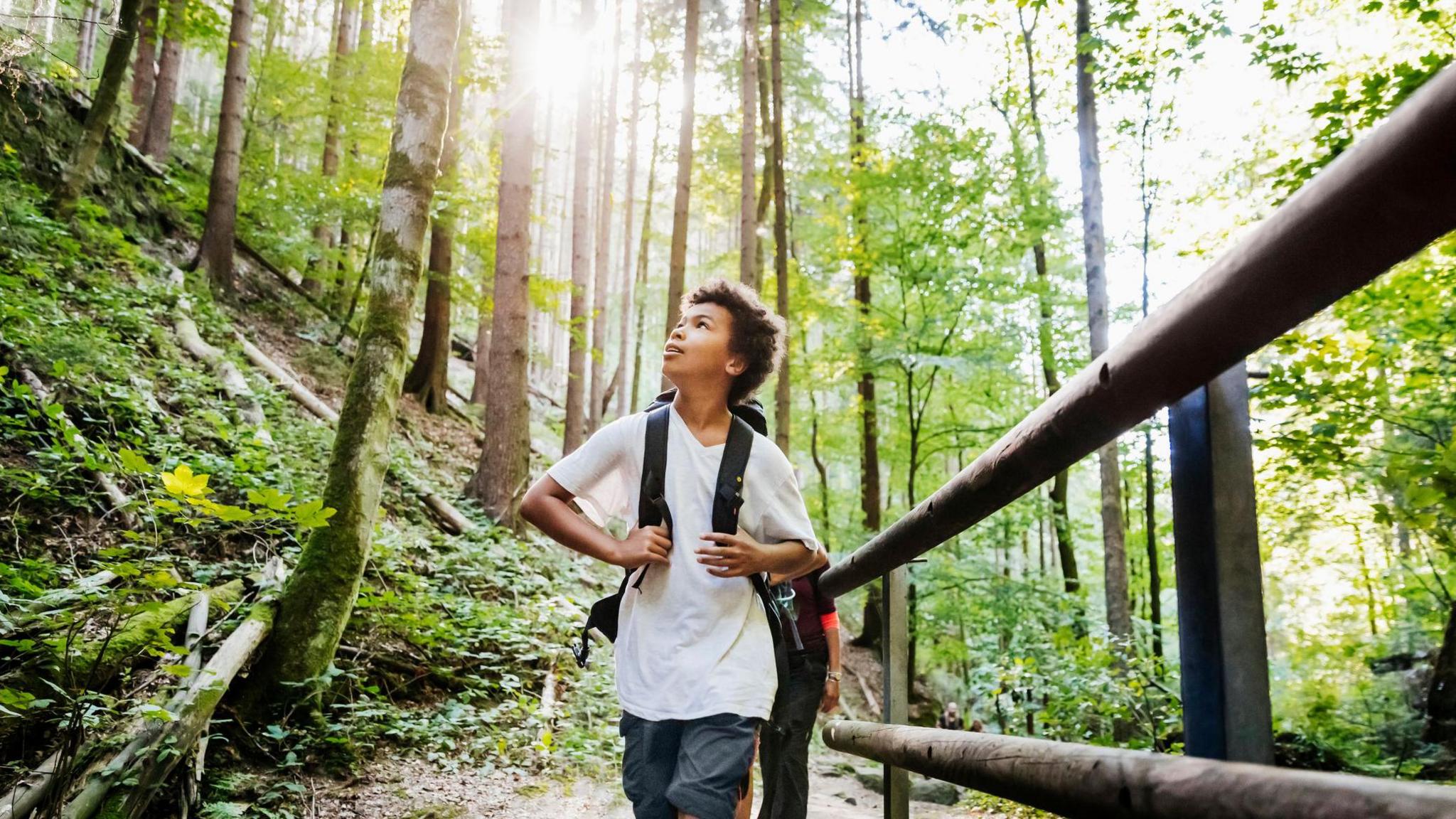 Boys enjoys the view on a hike through the woods 