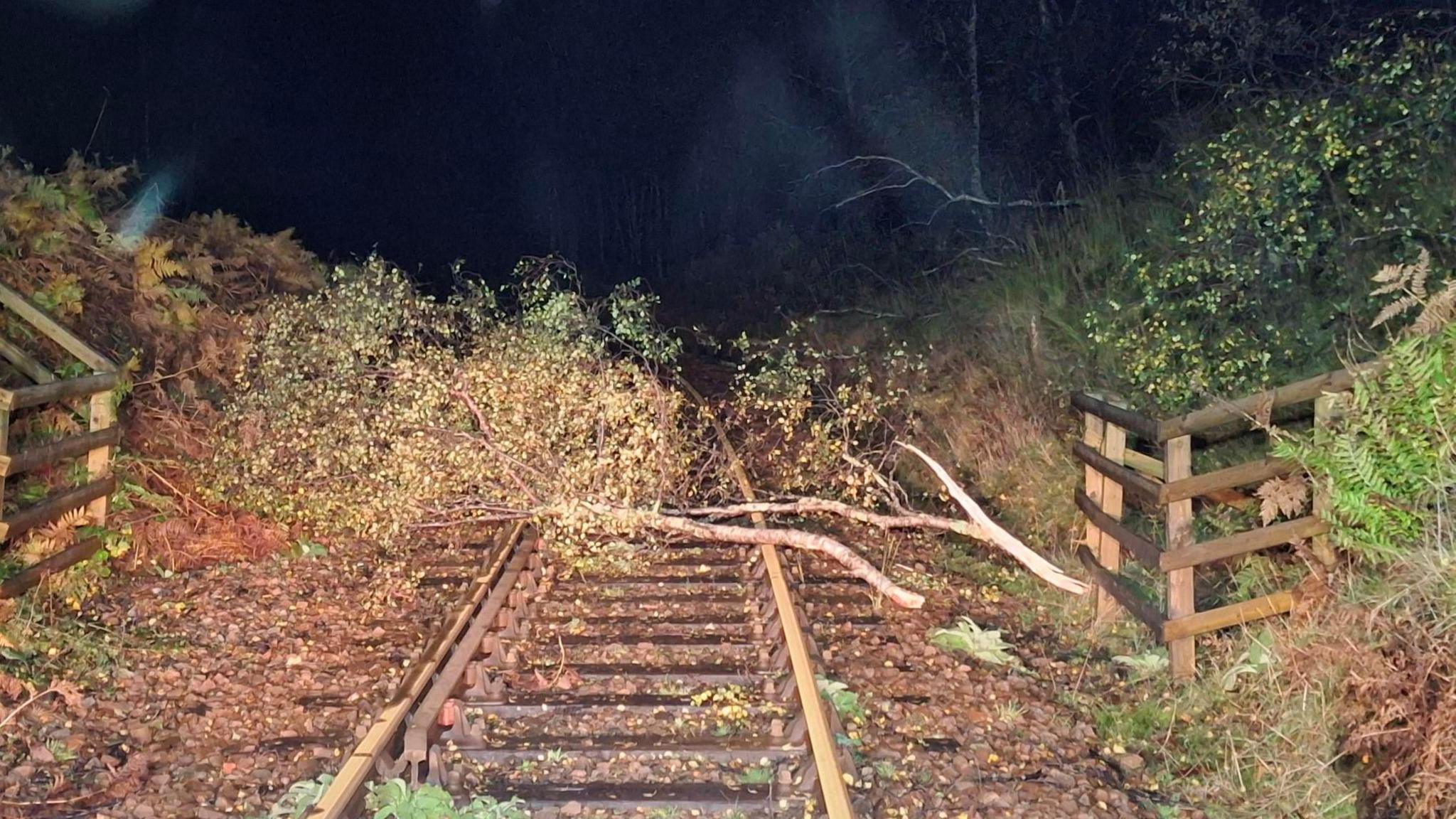 Image taken during the night showing large tree branches lying on the track