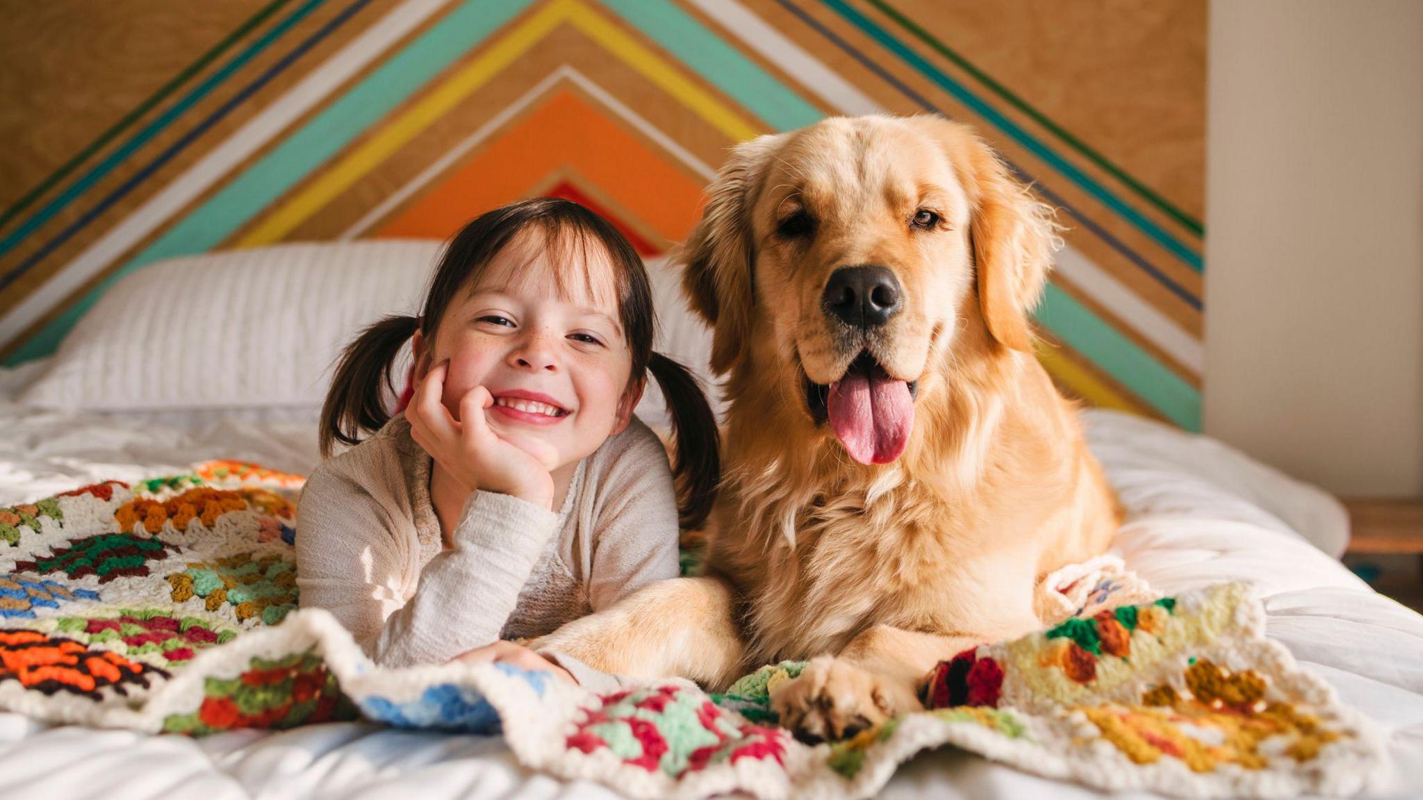 A girl with pigtails smiles at the camera, led on a bed next to a big fluffy golden retriever dog. They lie together on a colourful blanket with a colourful wall behind them.