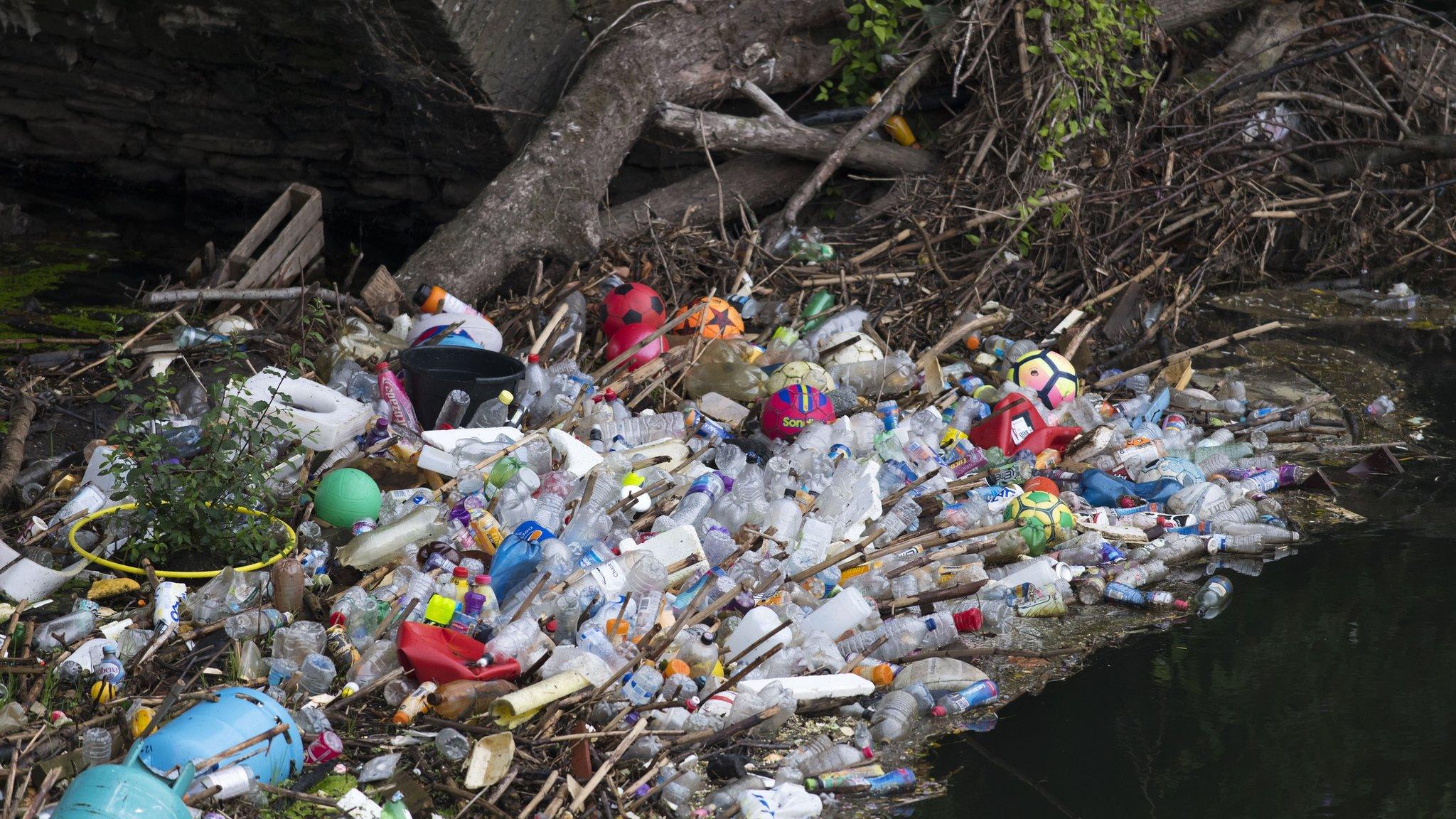 Plastic waste caught on a river bank