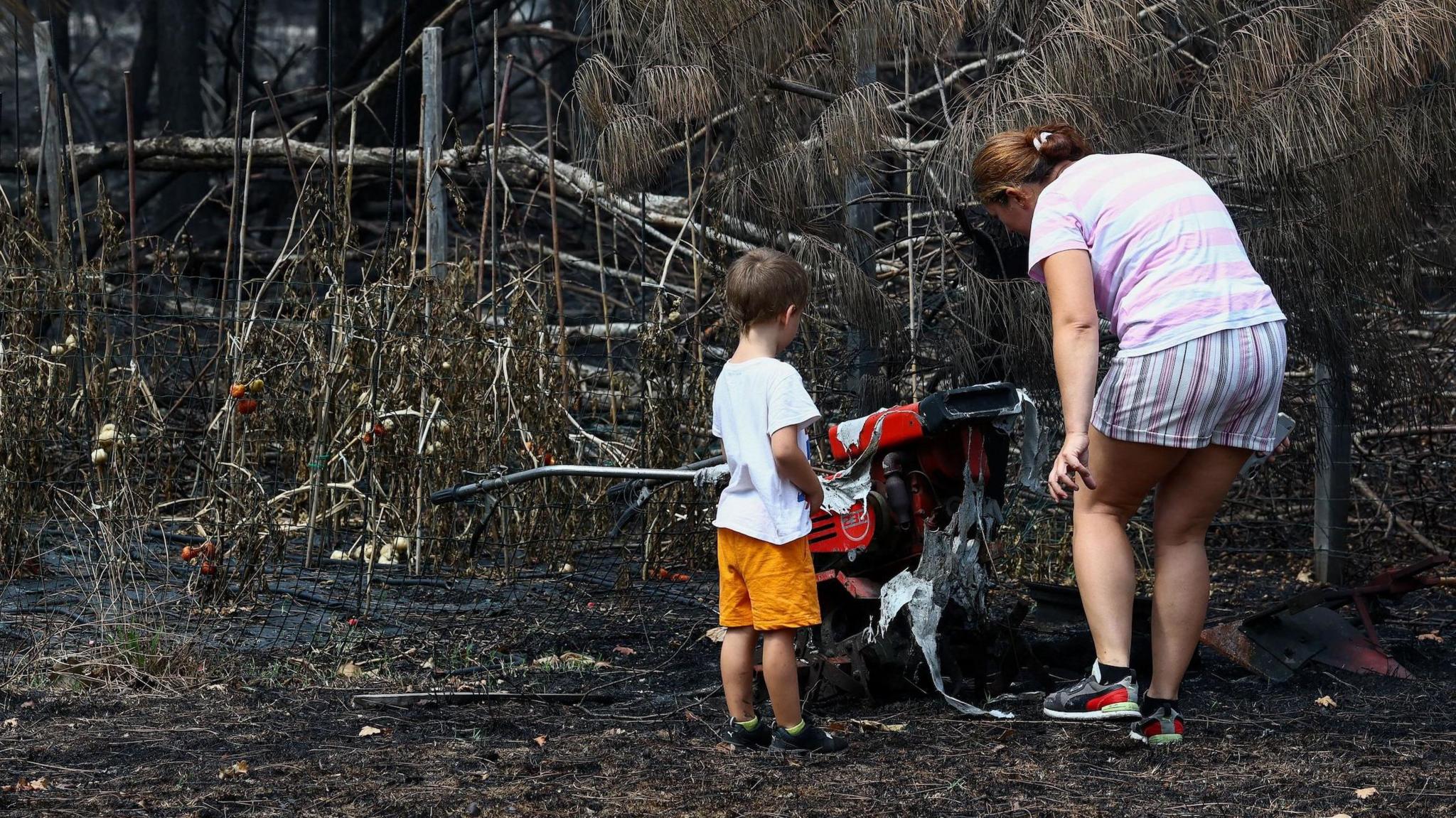 A woman and a toddler stand by charred ground and burned plants.
