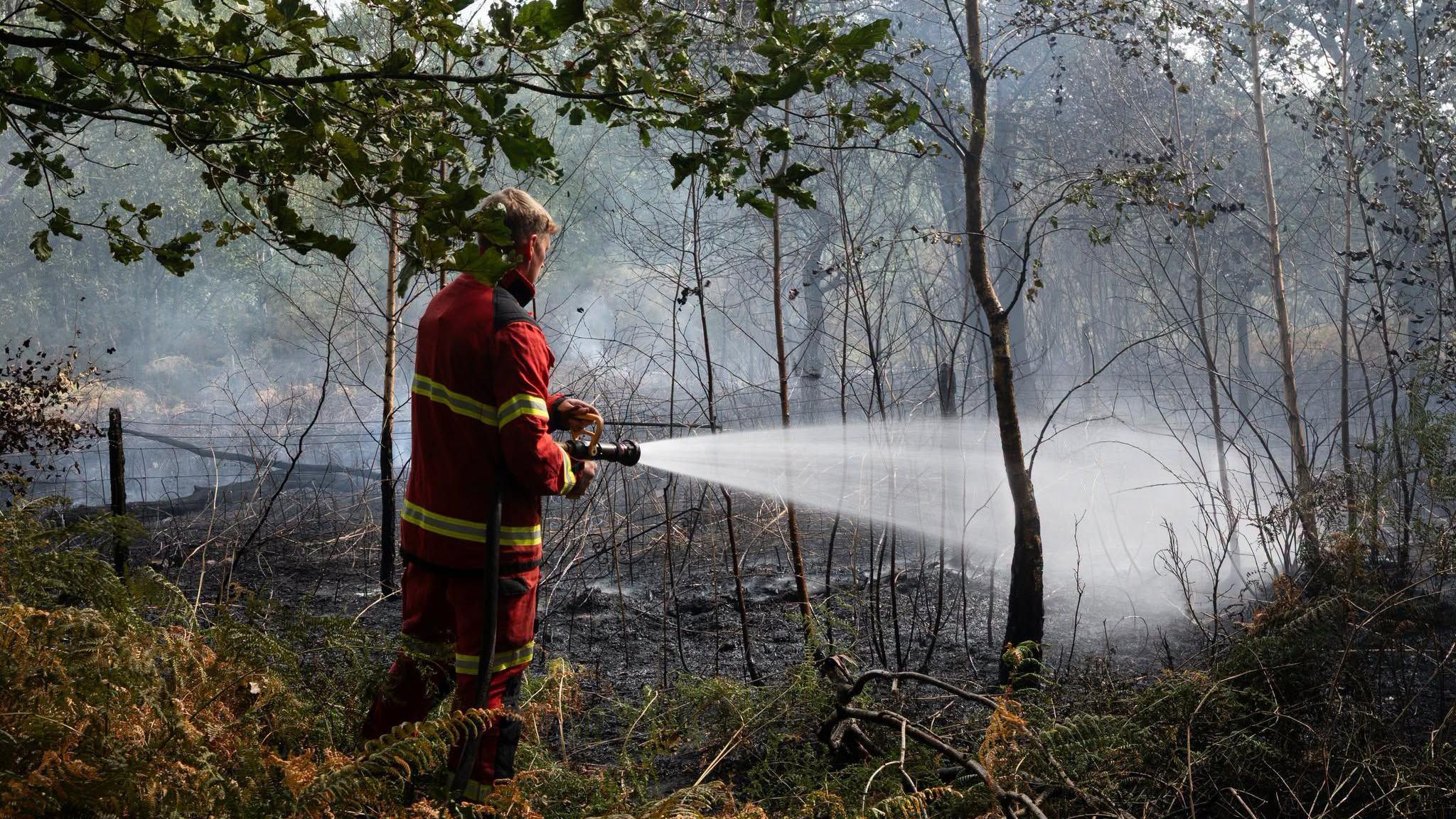 A firefighter using a hose in a area of woodland where a lot of smoke can be seen.