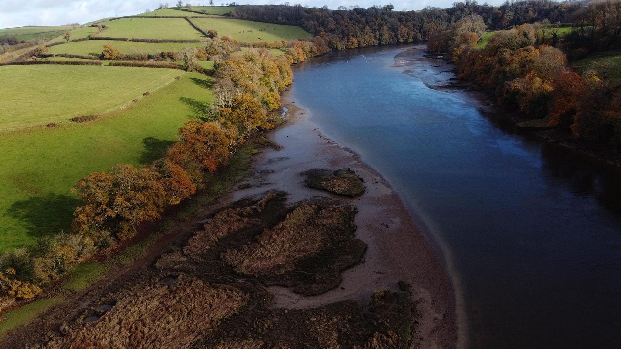 An aerial photo of the River Dart. It is lined with grassy hills and trees with autumnal coloured leaves. A section of a river bend looks muddy and is part of the saltmarshes.