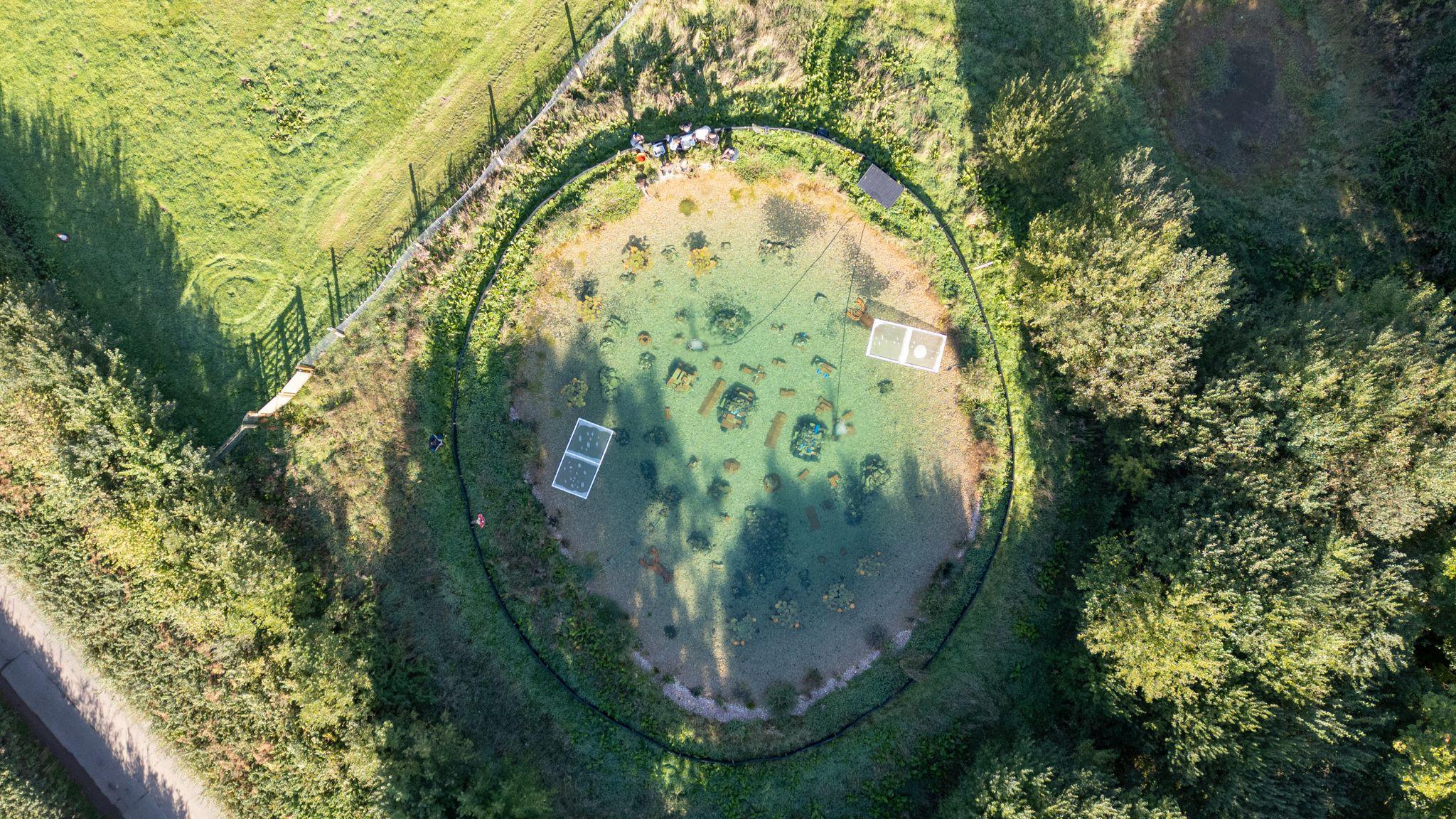 An ariel view of the arc pond. The round circle is surrounded by grass, plants and trees. The water is clear and there are plants and artificial hides within it.