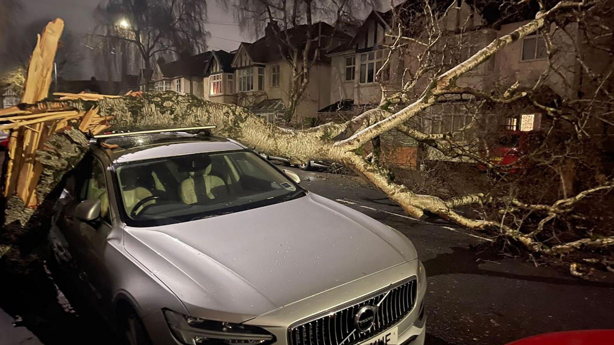 Fallen tree on roof of car in Redland, Bristol