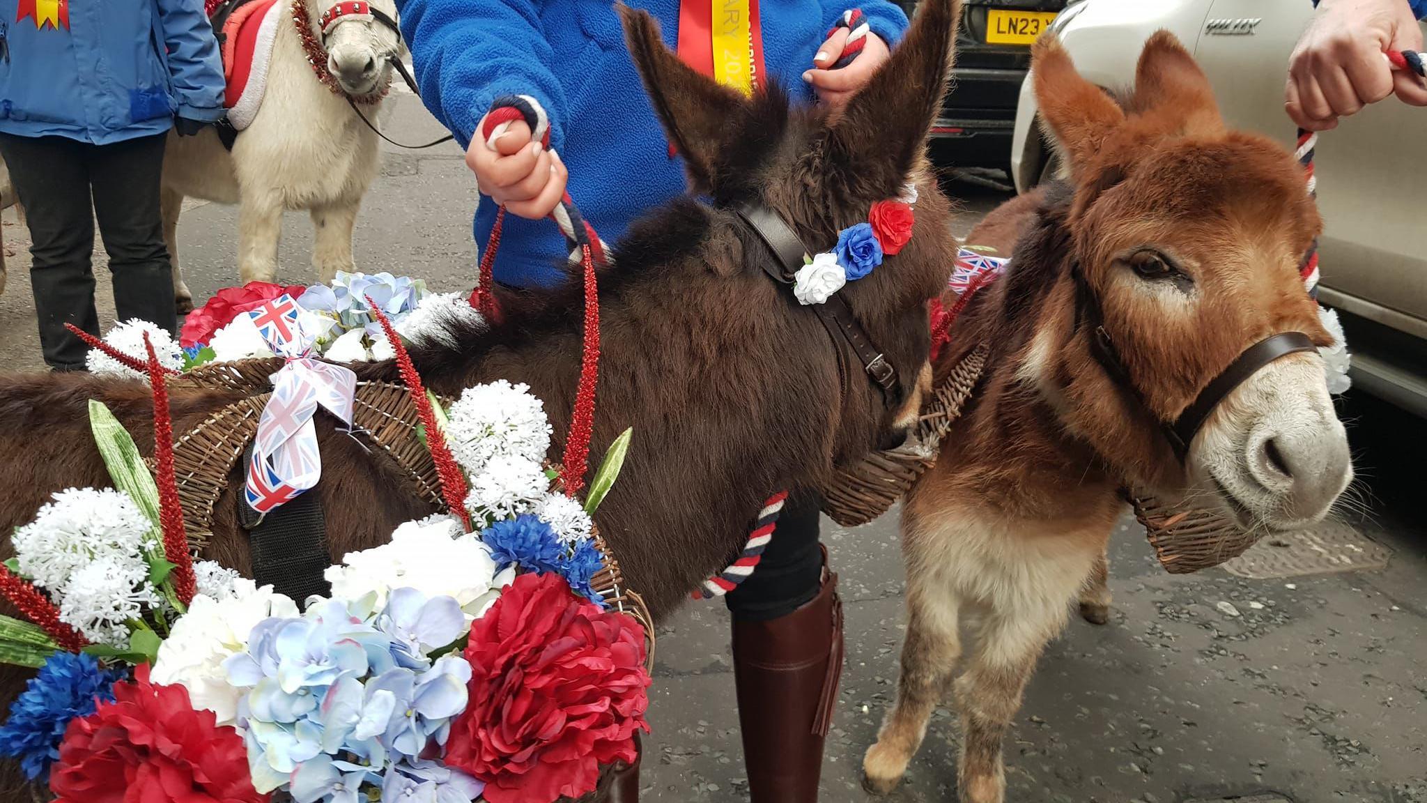 Donkeys decorated with flowers and garlands