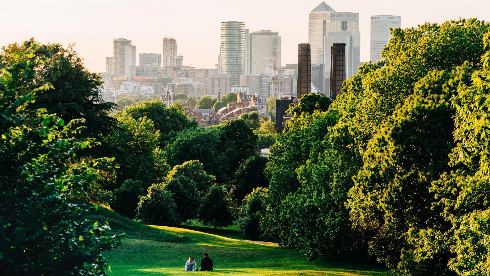 A view of London from Greenwich Park, with a couple at the bottom of the screen sitting on the grass, with trees in full foliage in the foreground and the City of London skyline in the background.