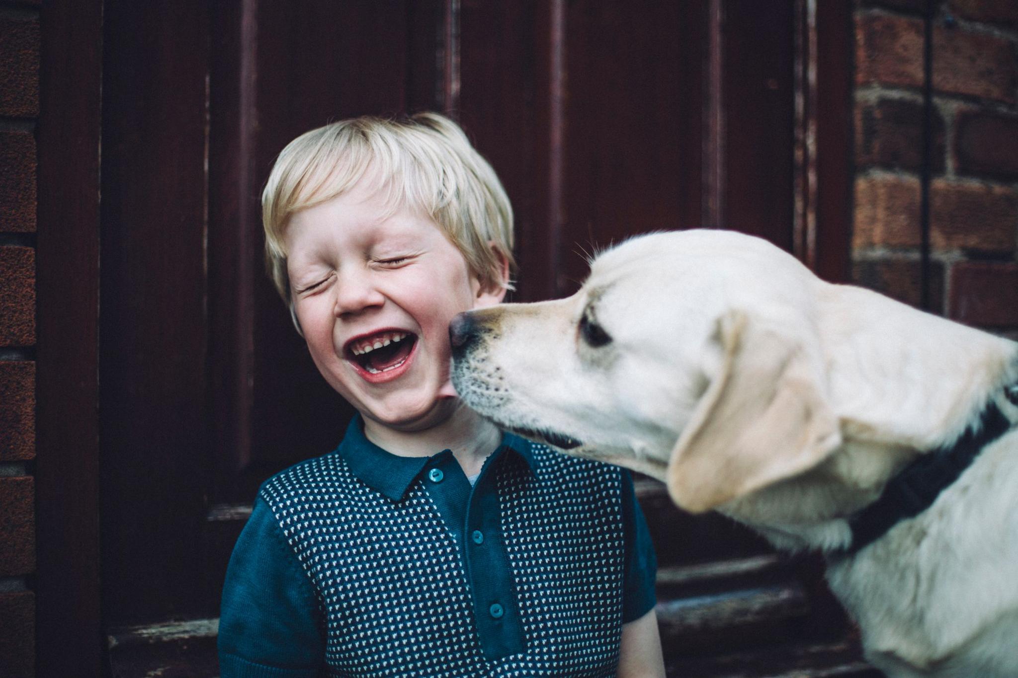 child having face licked by a dog