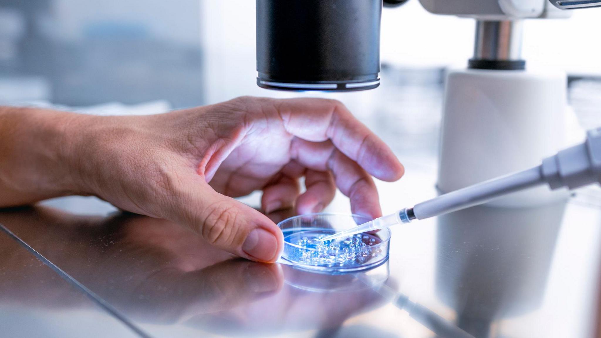 A hand holds a petri dish with contents being tested