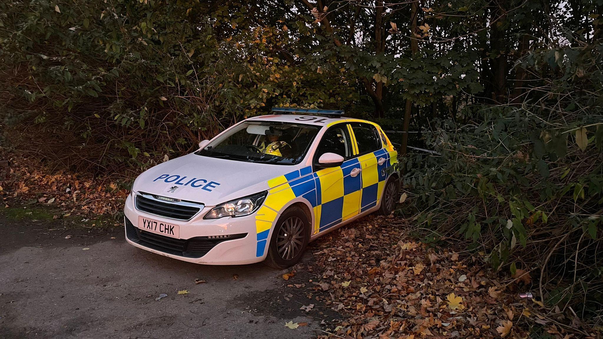 A marked police car parked in a layby in front of a wooded area