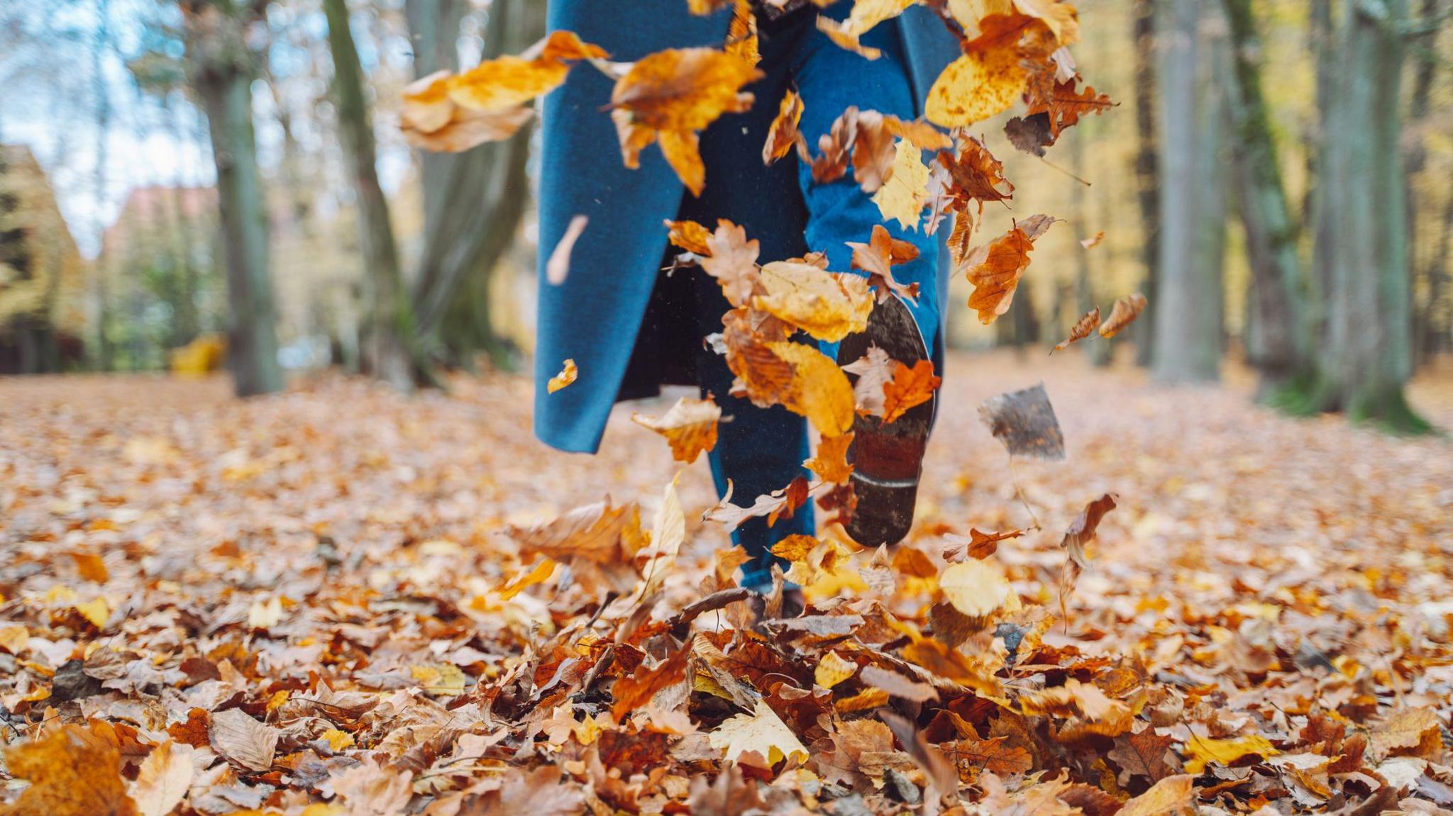 Person kicking up brown and orange leaves from the floor