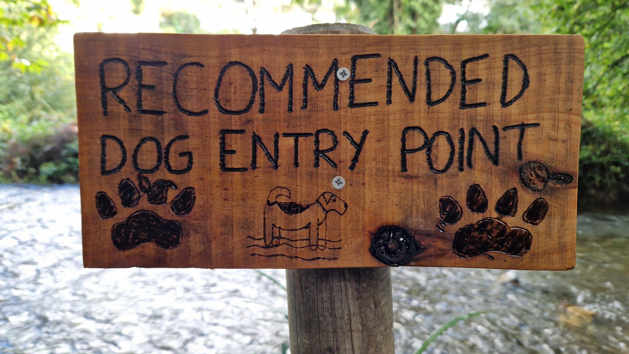 A close-up of a wooden sign screwed on to a wooden post that reads 'Recommended dog entry point' in capital letters burnt in to the wood. There is a line drawing of a spotted dog standing in water and two large dog paw prints burnt in to the wood. Behind the sign is a shallow river and a bank with trees along it. 