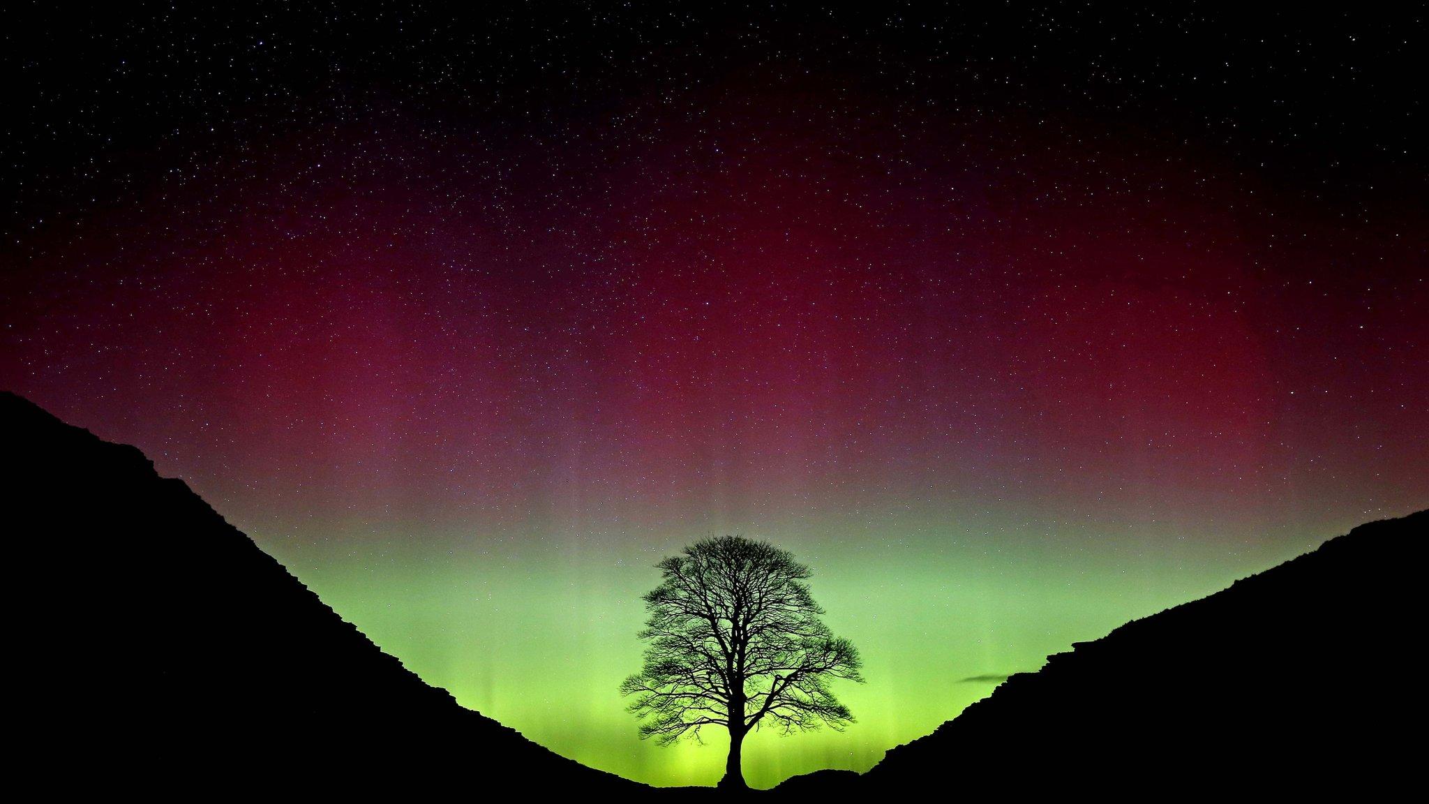 Northern Lights in Northumberland