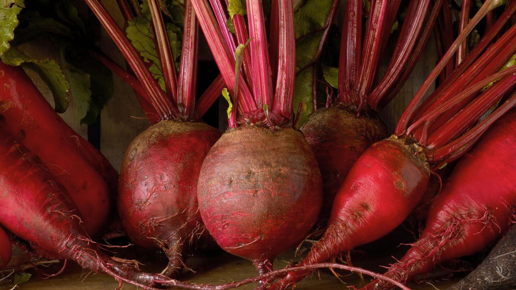 Beetroot