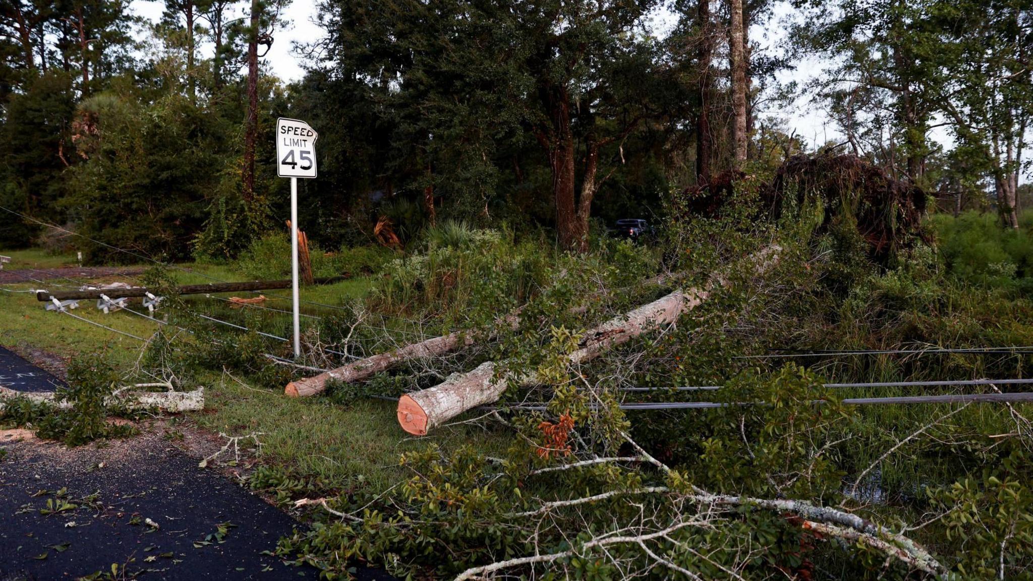 Power lines and fallen trees lay on the ground in Crawfordville, Florida