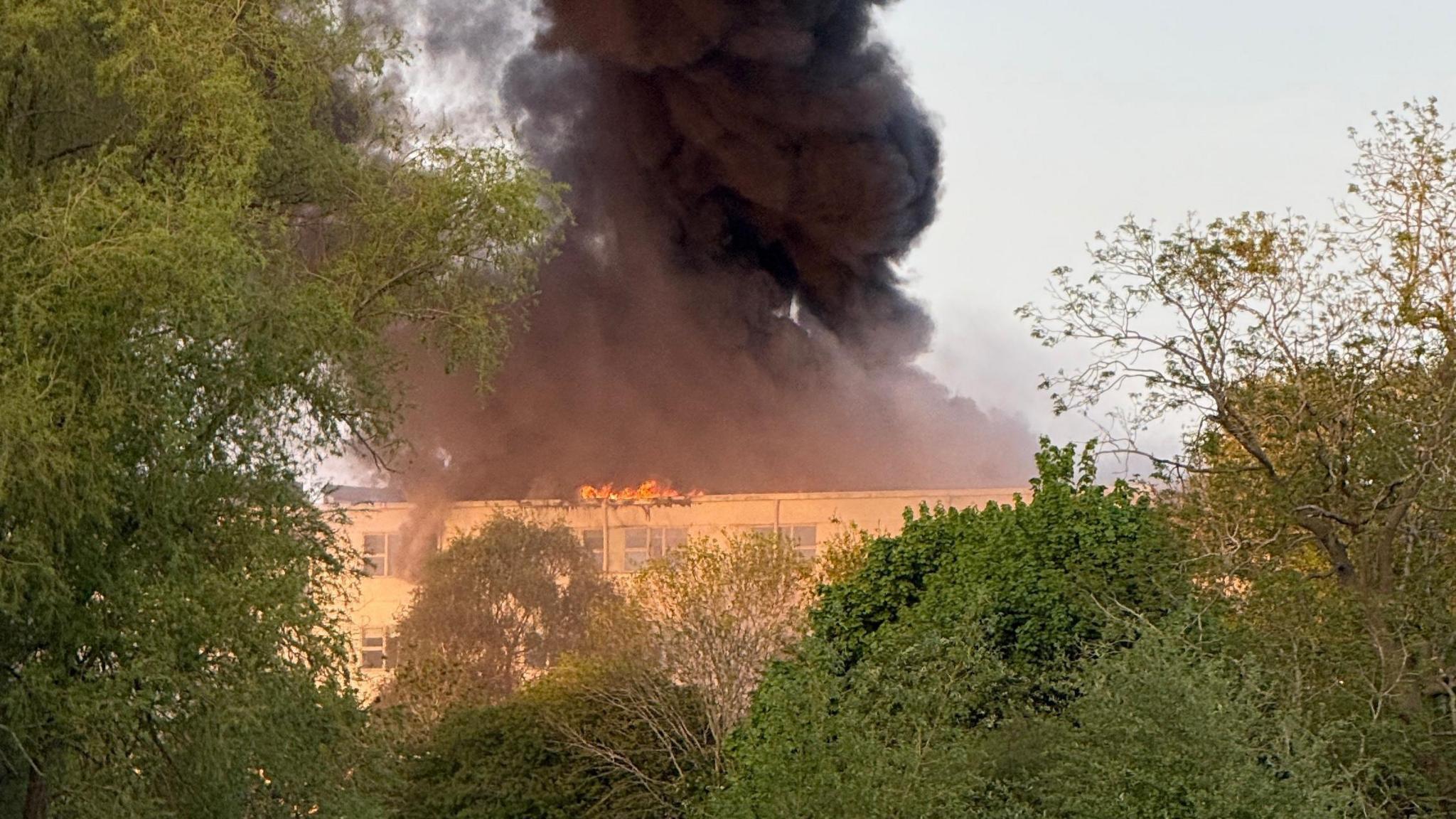 LARGE Black clouds of smoke above a building on fire. The photo is taken from a distance, with greenery in the foreground