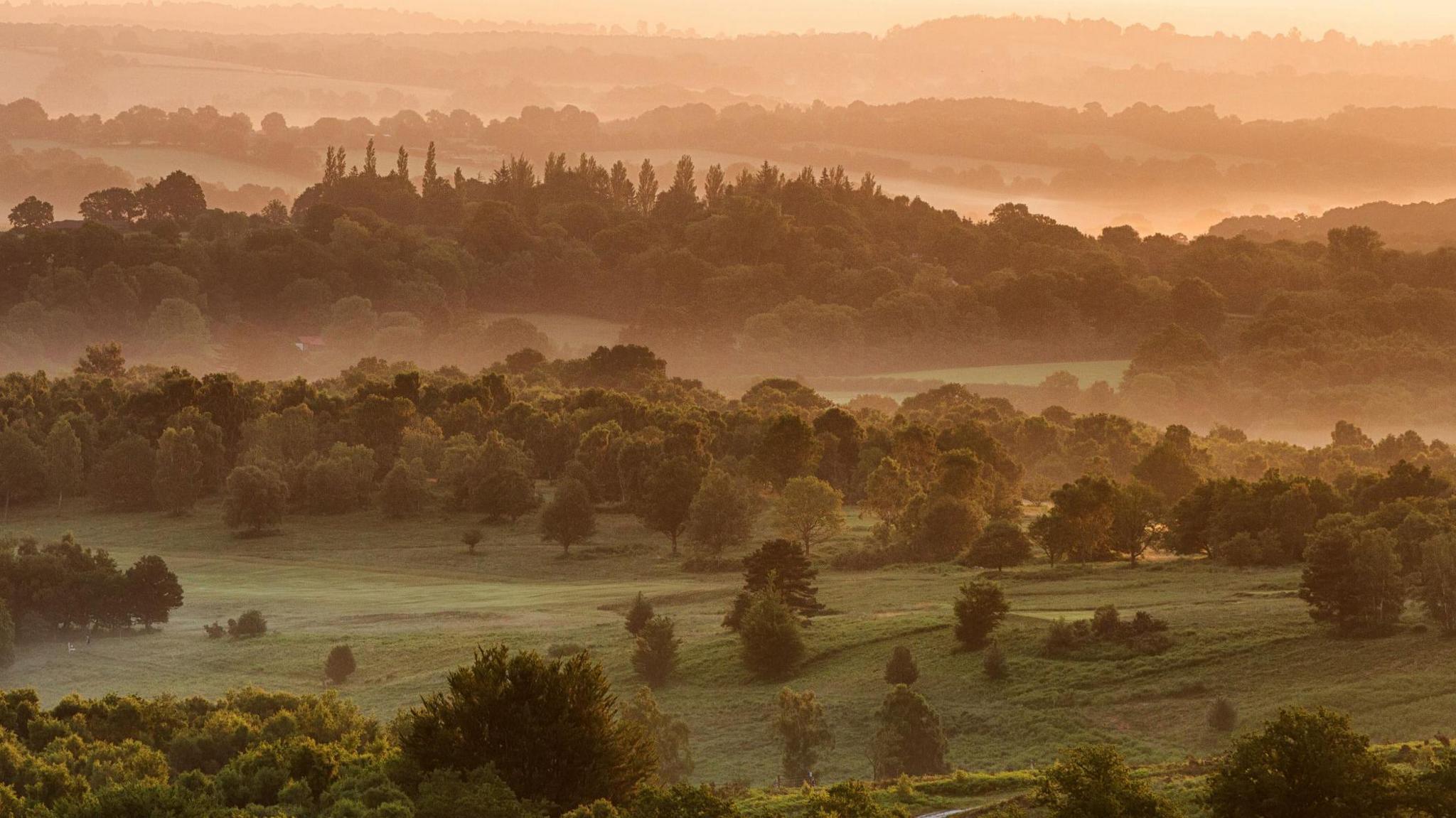 Sunrise looking over the weald of ashdown forest in sussex, UK