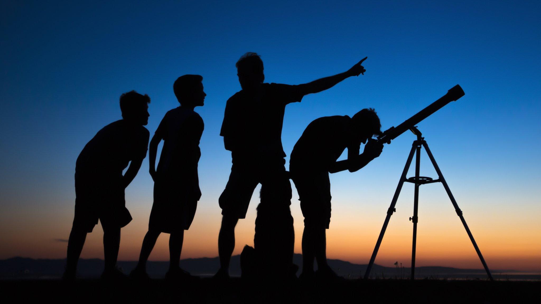 Silhouette of people watching the night sky