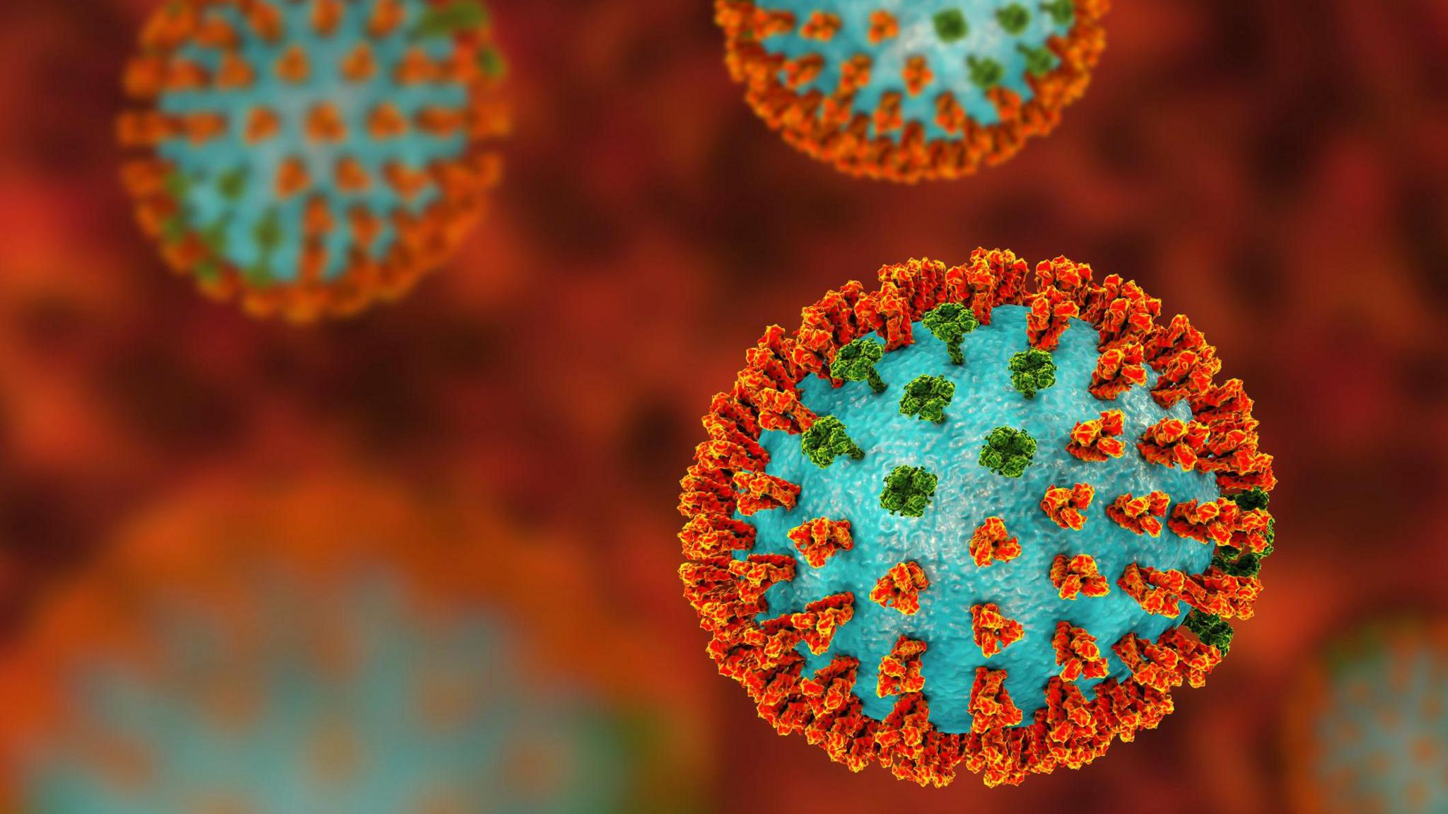 3D illustration showing spherical object representing the virus. It is covered in green and orange spikes which represent the two key proteins on the surface of a flu virus. There is one flu virus in focus in the bottom right and more in varying degrees of blur in the background. 