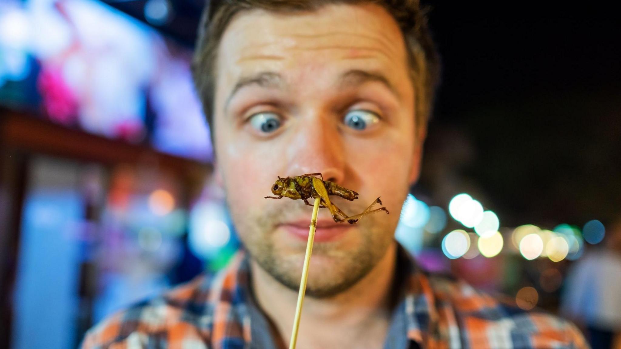 Man eating insect 