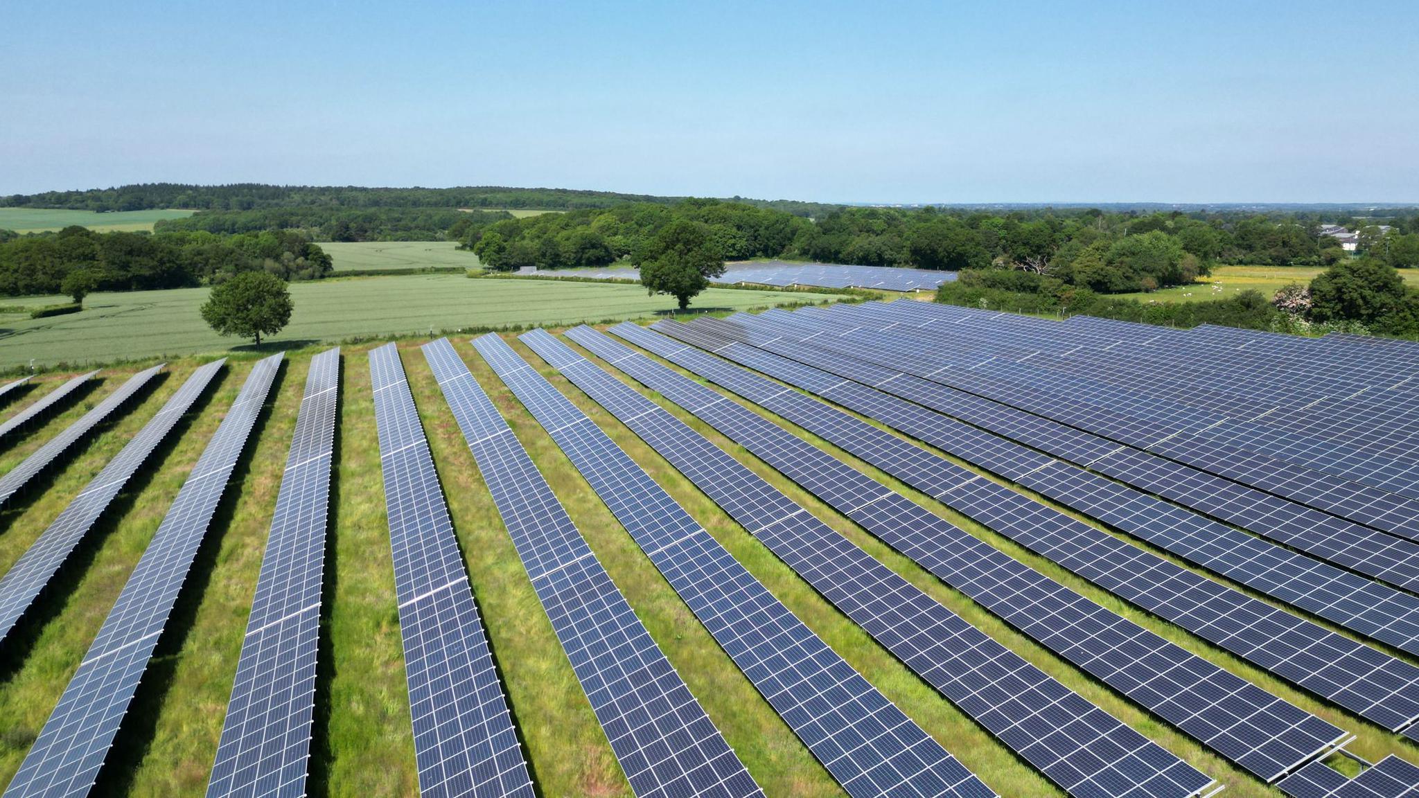 A stock image of a solar farm, with rows of panels in a grassy field 