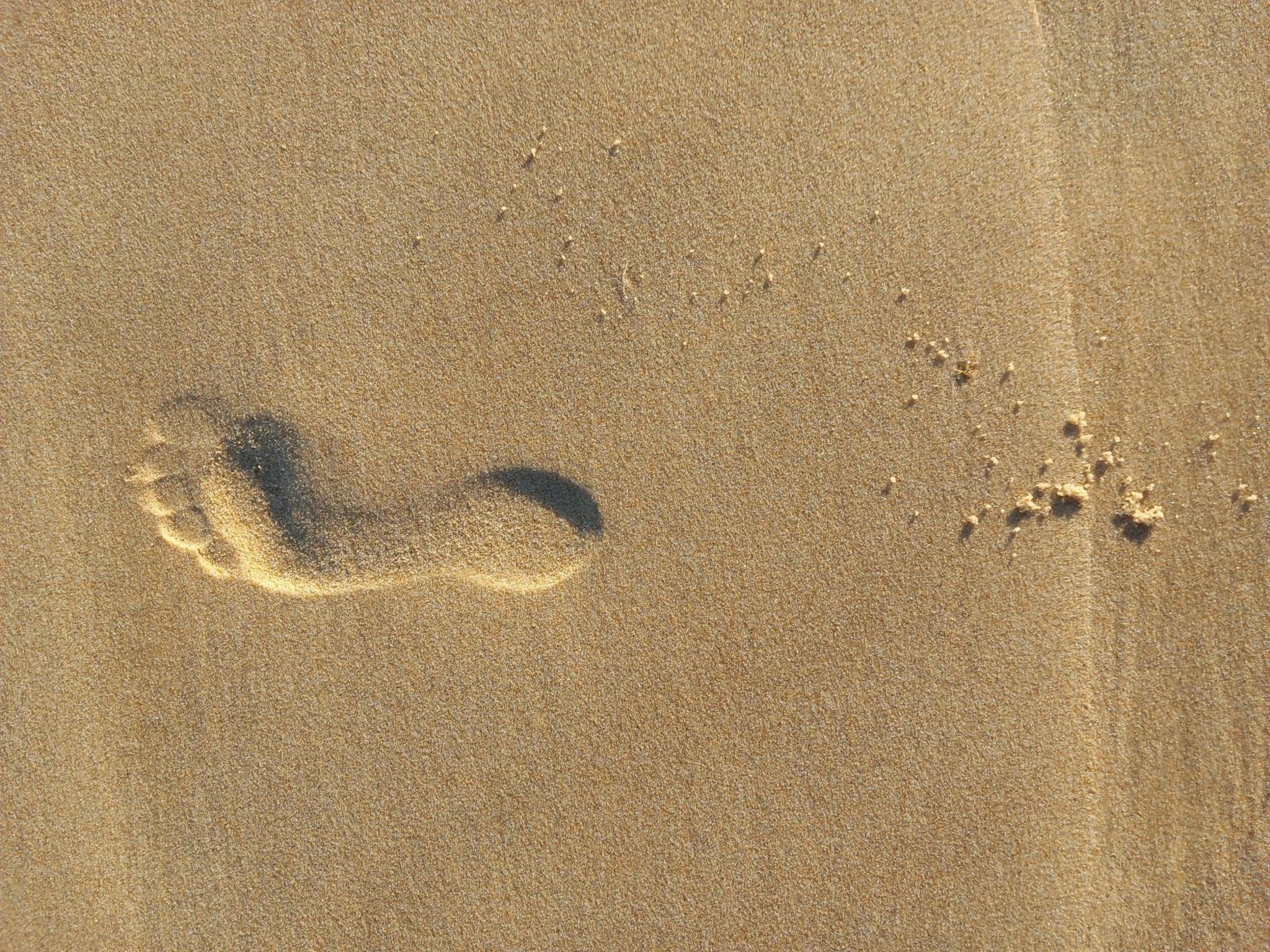 A footprint on sand