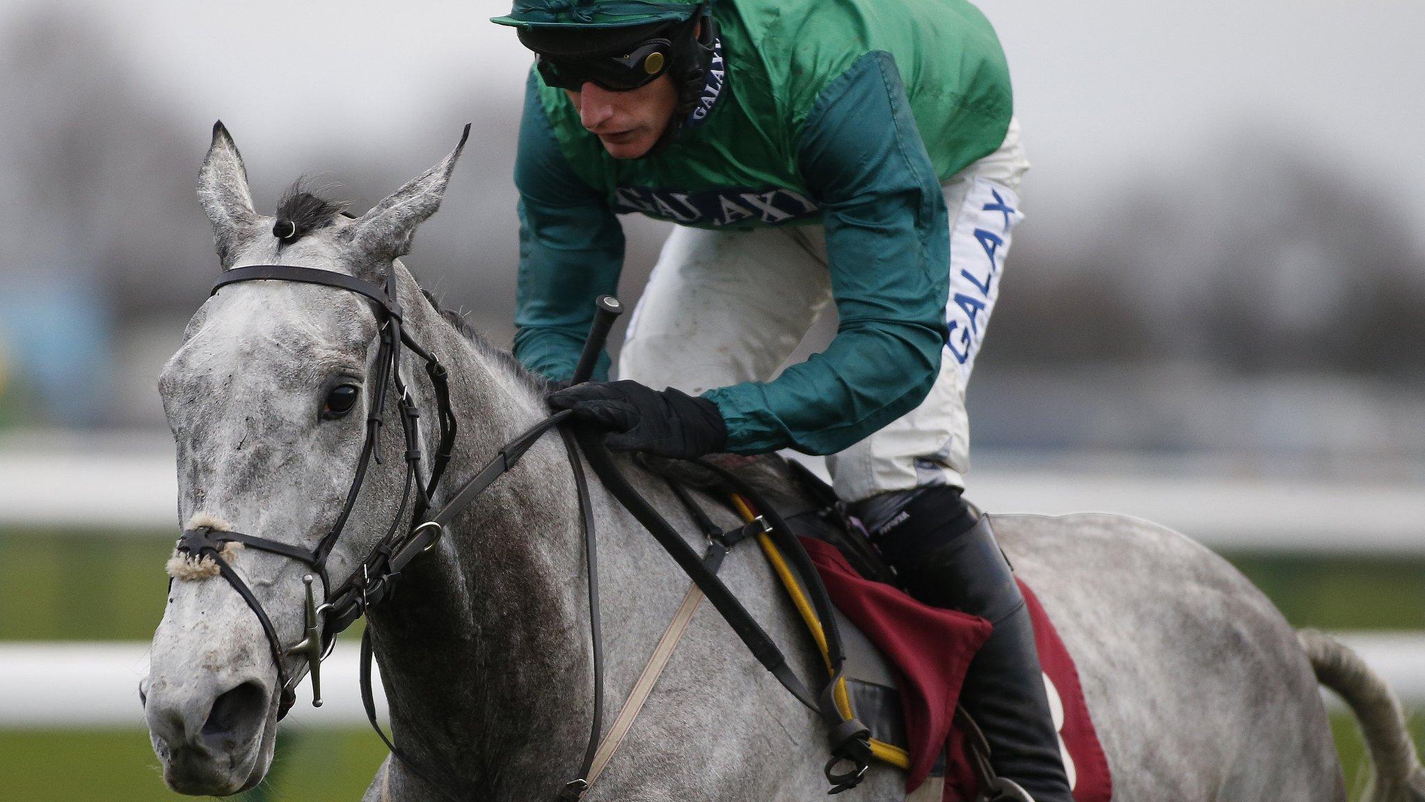 Bristol De Ma, ridden by Daryl Jacob