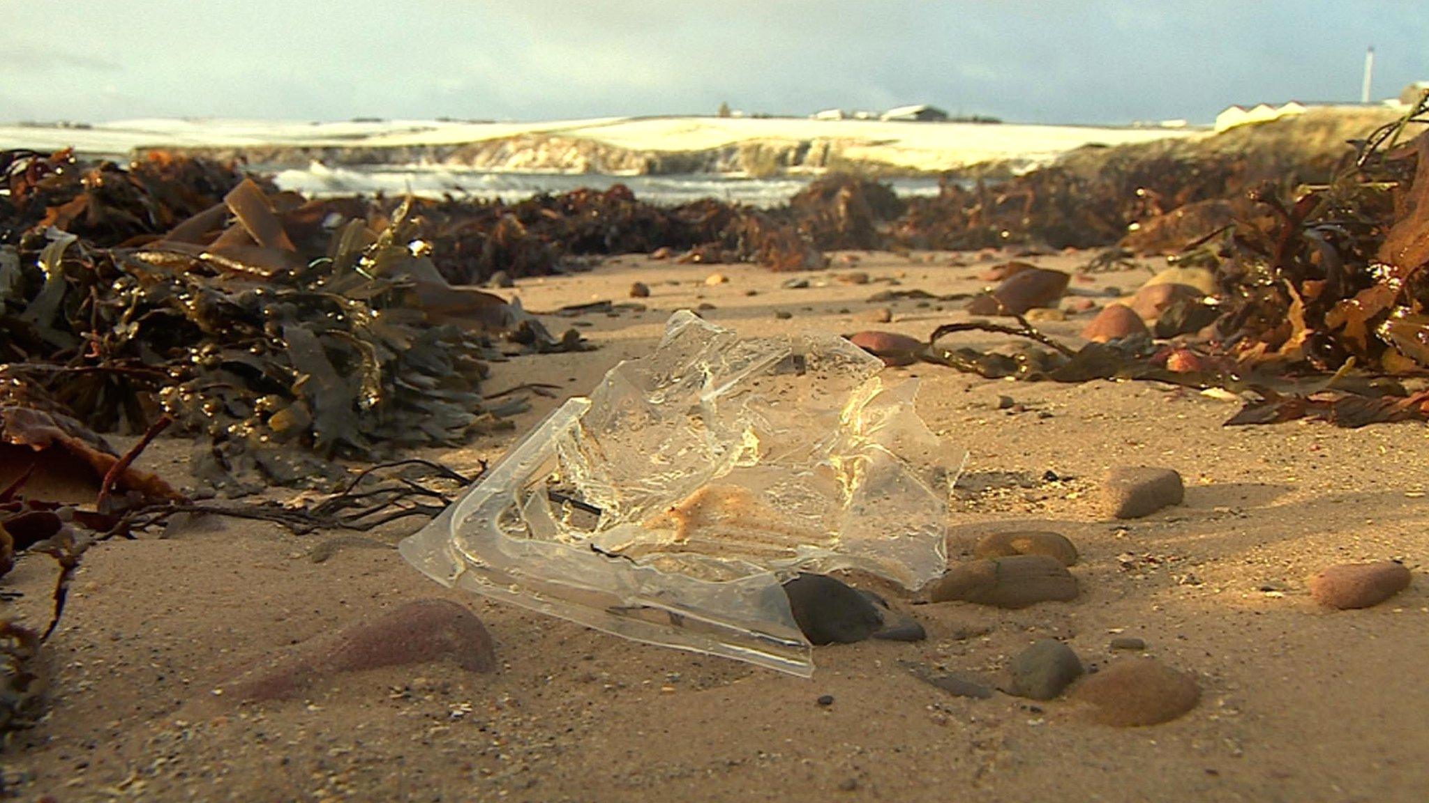 Orkney beach