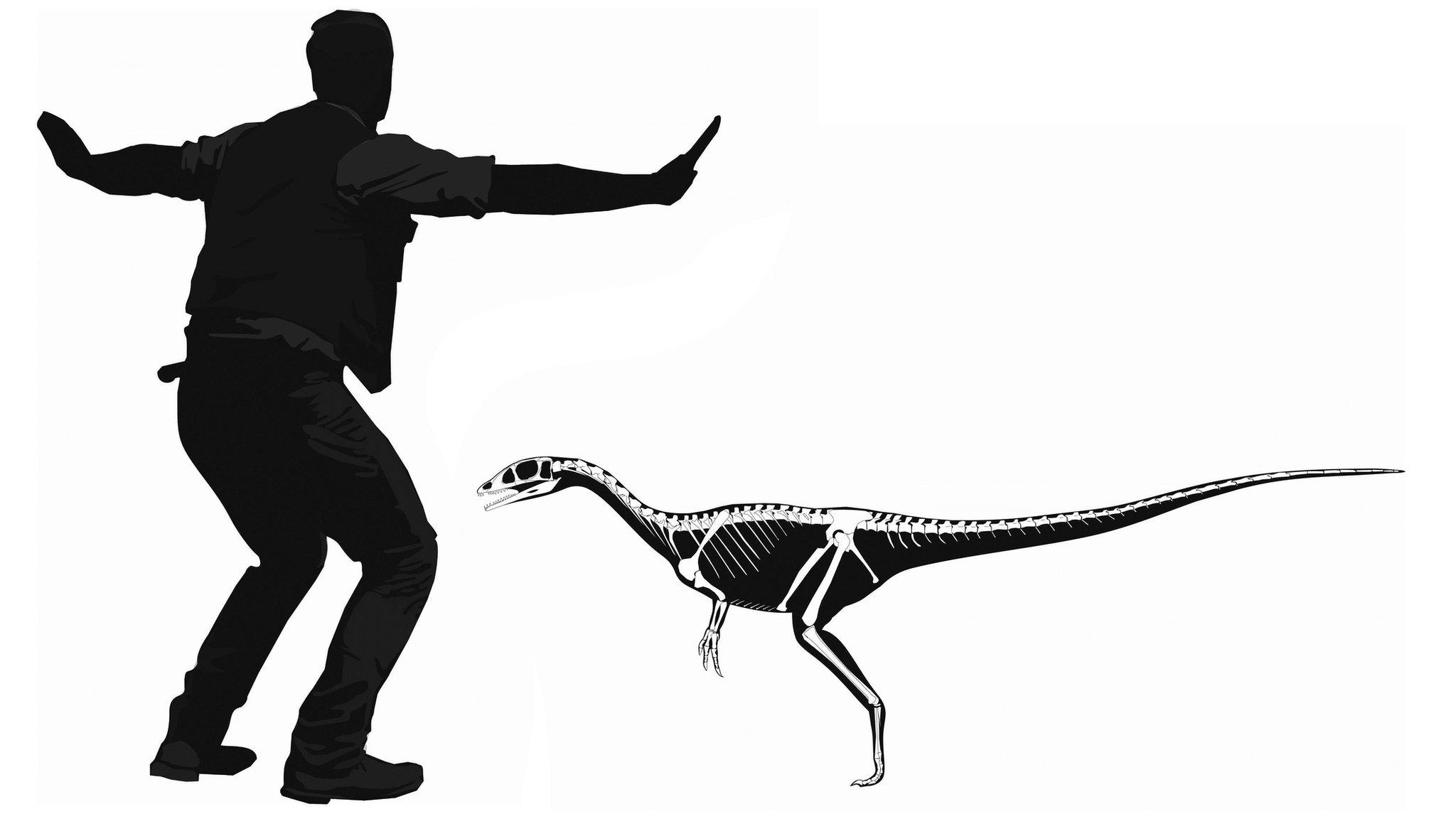 Artist impression of dracoraptor hanigani