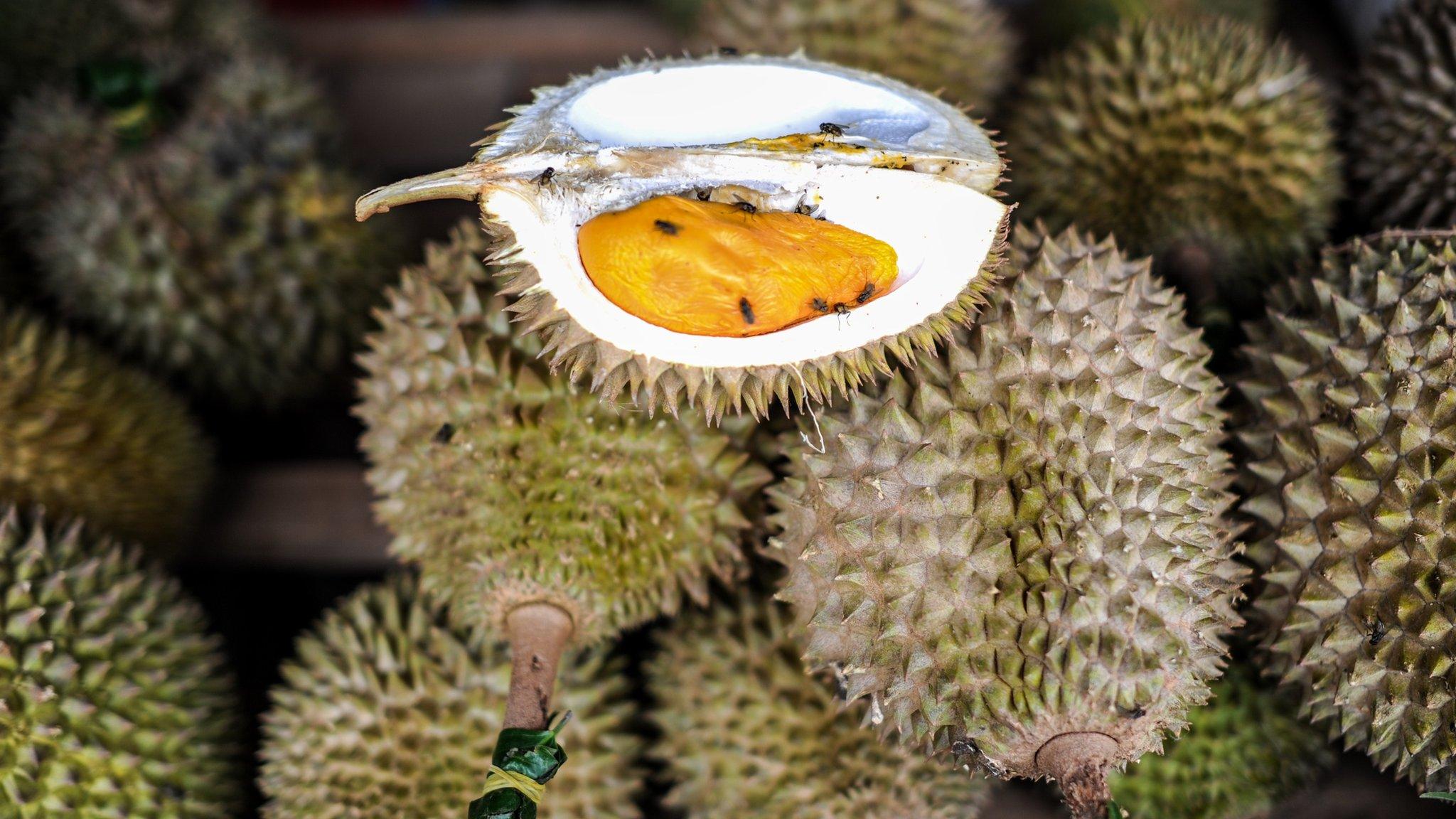 Durians displayed at a roadside fruit shop