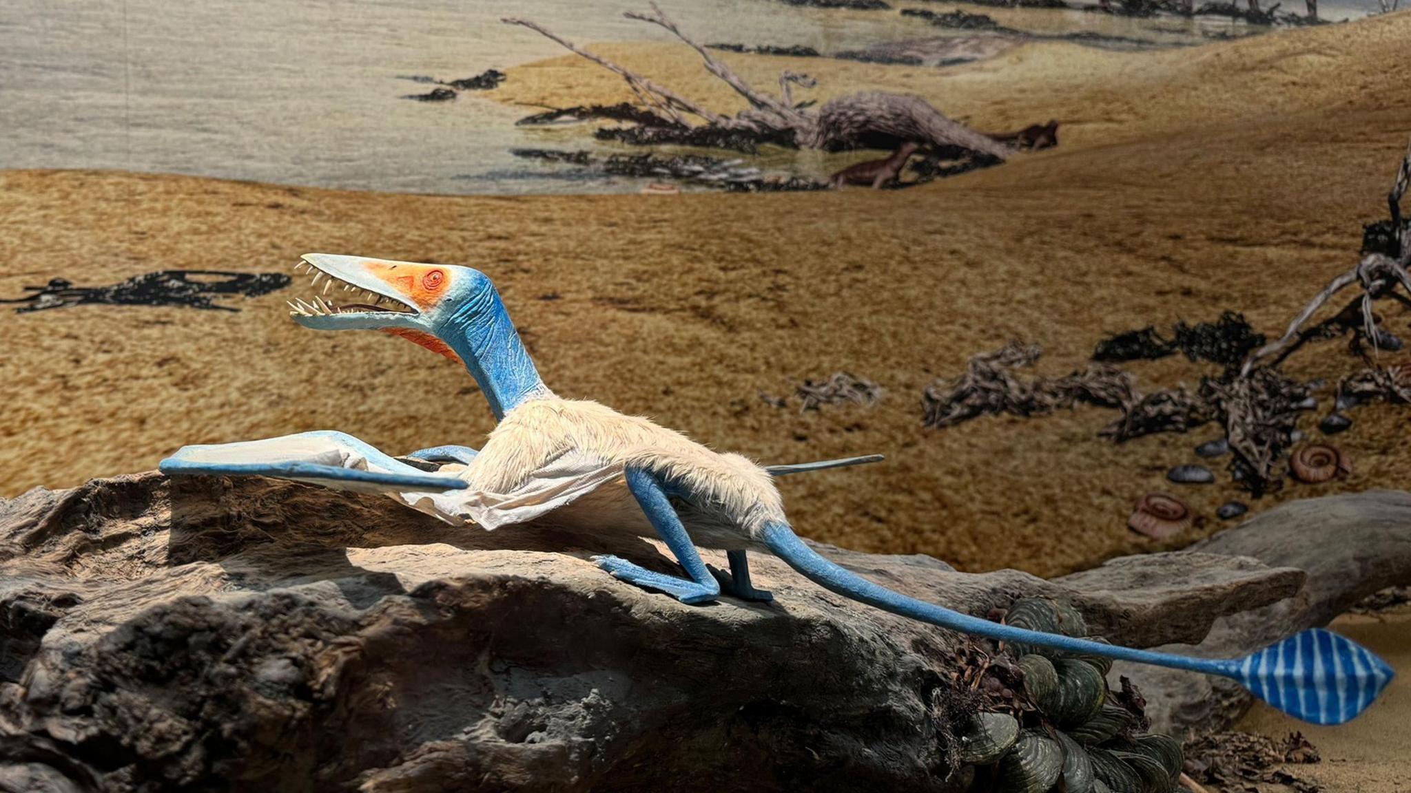 A reconstruction of the pterosaur dorygnathus in an early Jurassic habitat. It has blue skin, a long snout with a mouth full of sharp teeth, and appears to have white feathers on its back.