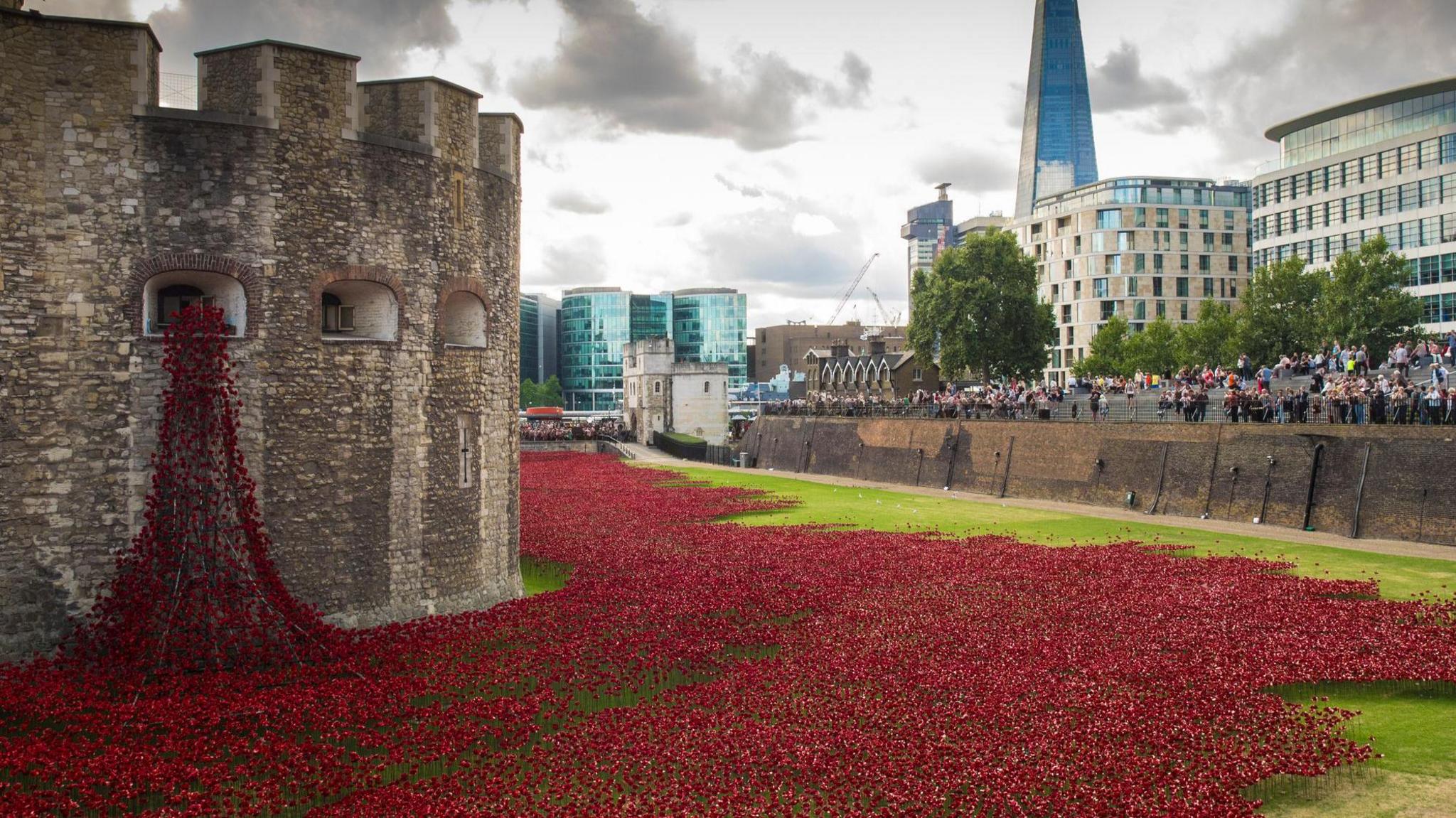 A sea of hundreds of thousands of red ceramic poppies flow from a window in the Tower of London onto the grassy ramparts. A crowd of people are observing the spectacle behind barriers. 