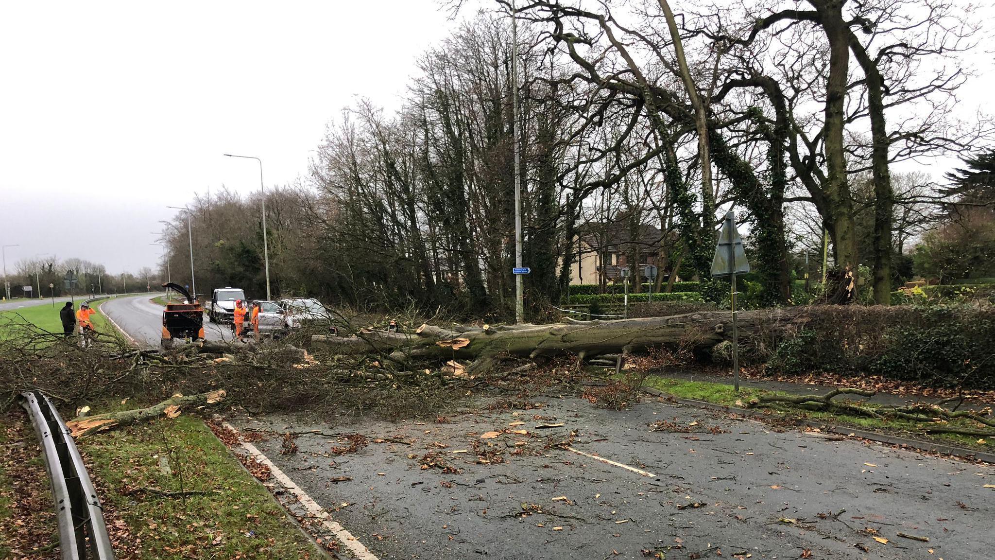 Response crews by the fallen tall tree that is lying across both lanes of the carriageway