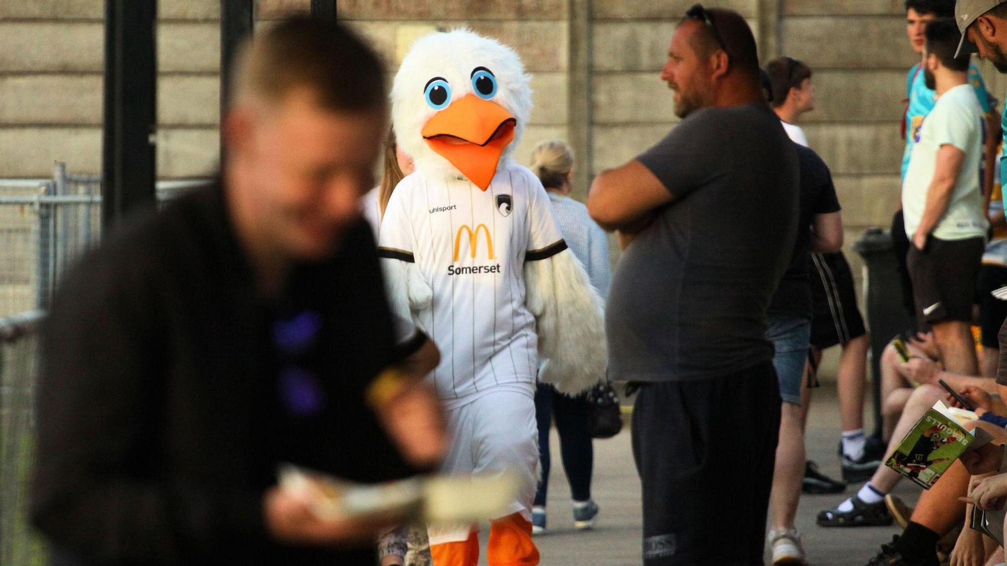 A person walks along a street in a seagull mascot costume, which has large blue eyes and a huge orange beak. The mascot is wearing a white striped football shirt. Several other people are seen out of focus.