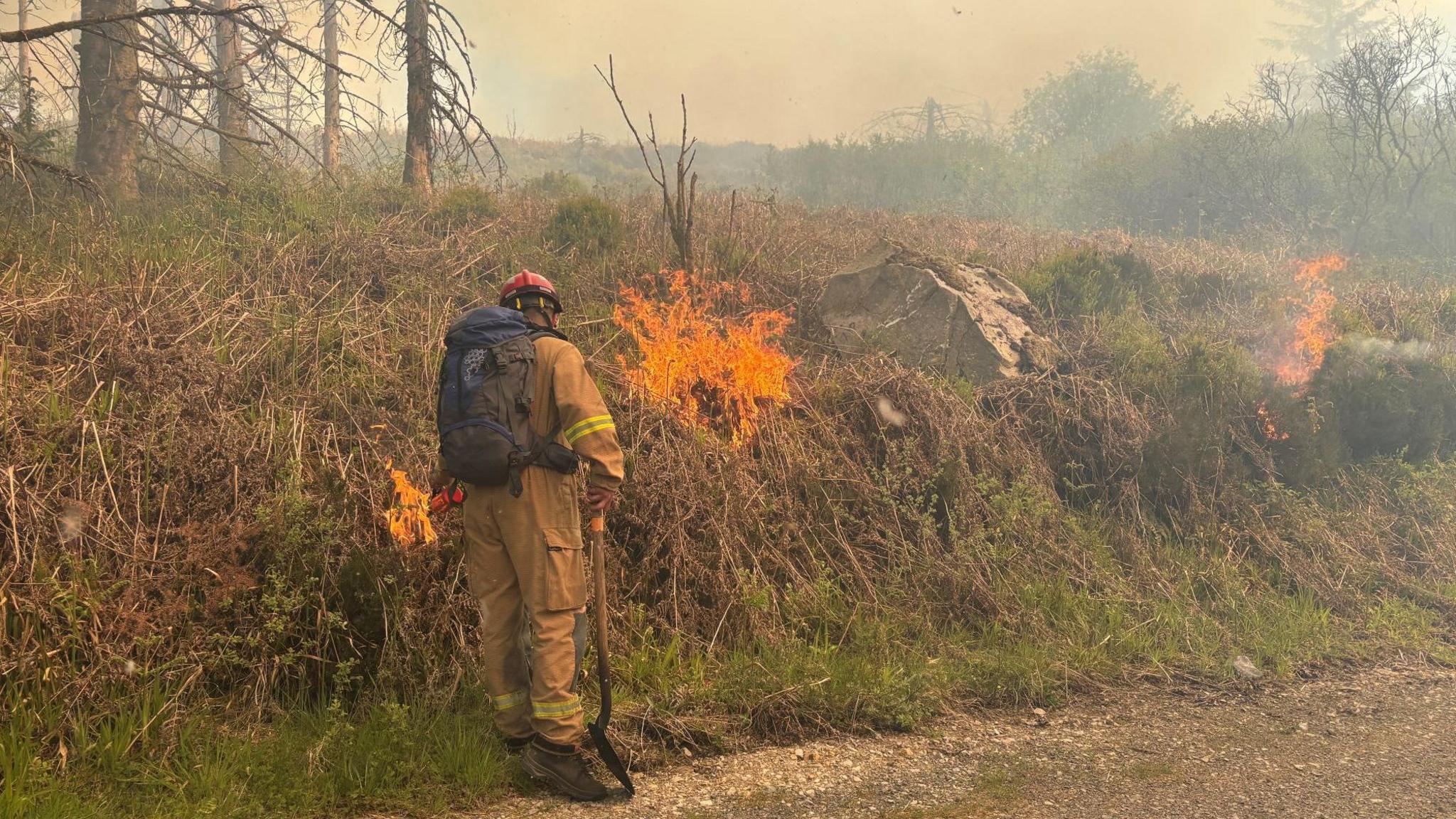 A lone firefighter wearing a large, dark backpack and a fire resistant uniform. He is wearing a red hard helmet and is attempting to put out flames on gorse.