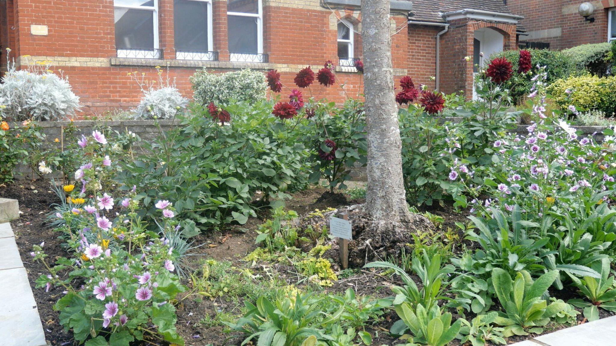 Red, purple and yellow flowers in a flower bed with a tree standing in the centre.