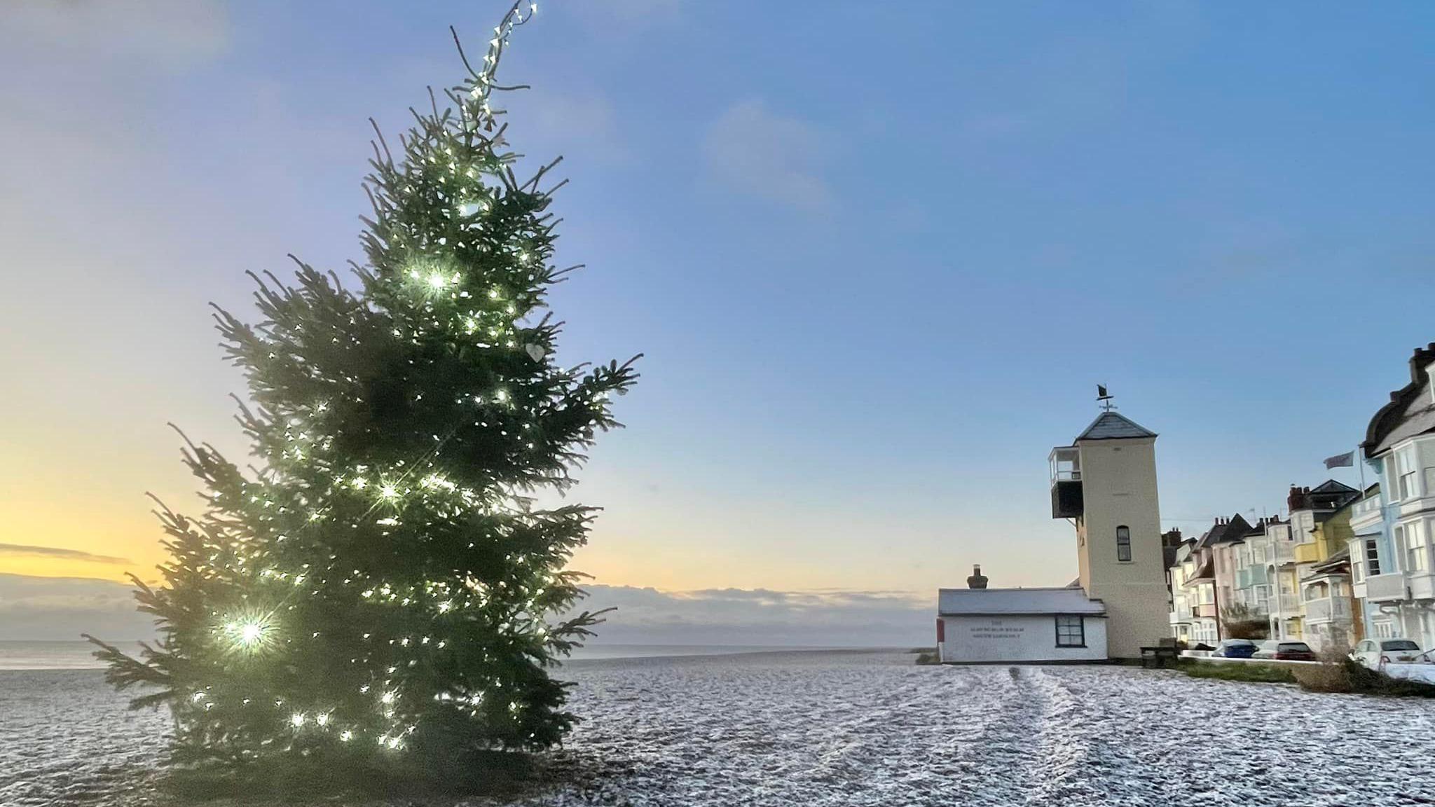 A large Christmas tree complete with lights sits on Aldeburgh beach, which is covered in frost on a clear day. There is a series of colourful properties to the right of the picture.