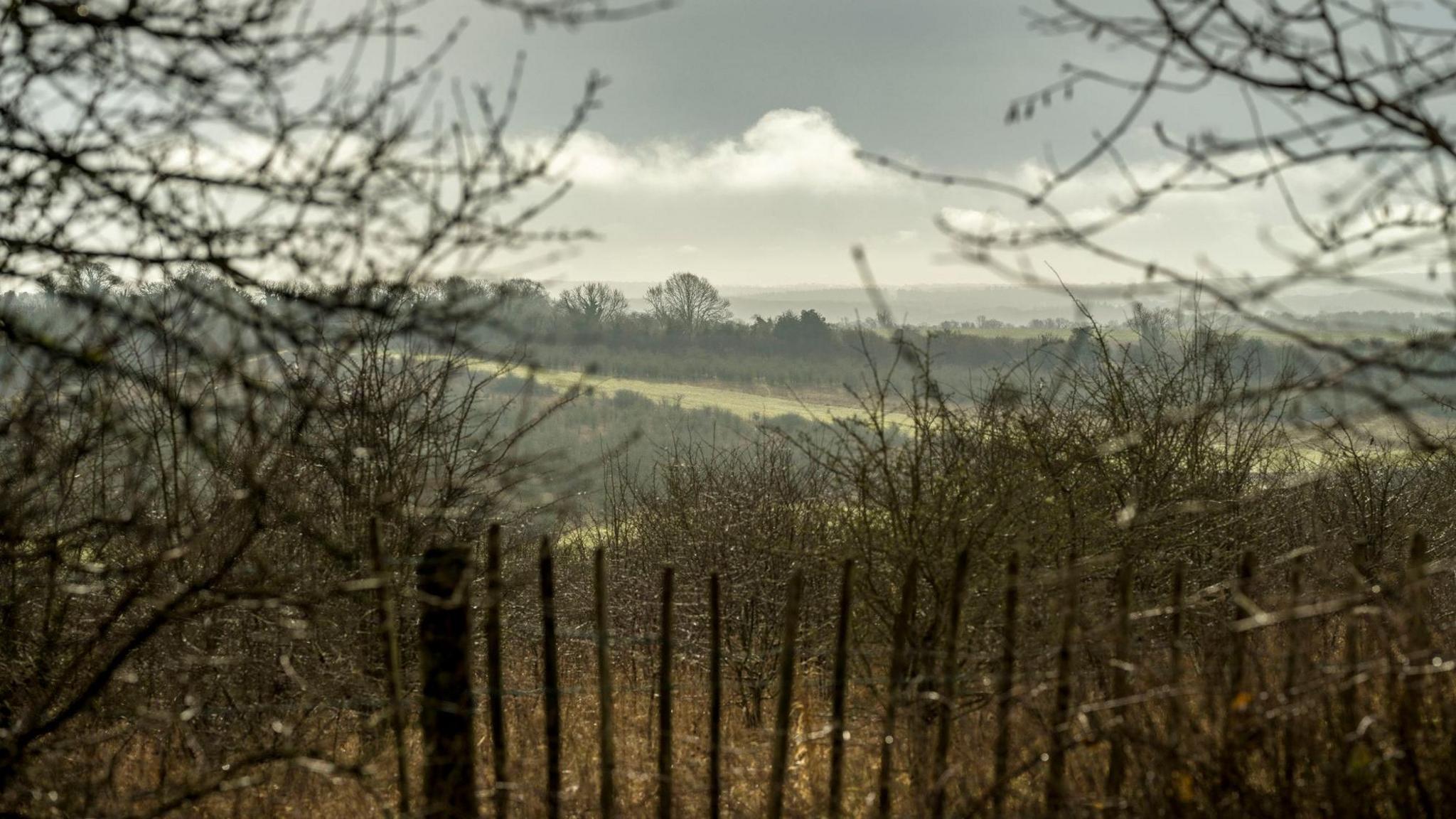 The Hampshire Downs.