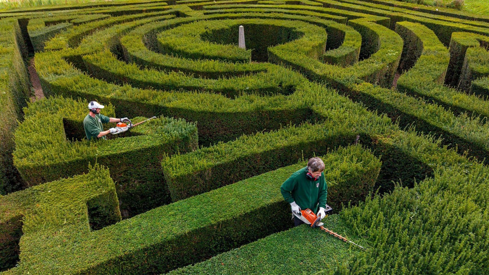 Two gardeners wearing a green jumper and wearing protective eyewear are holding hedge trimmers trimming a hedge maze. 