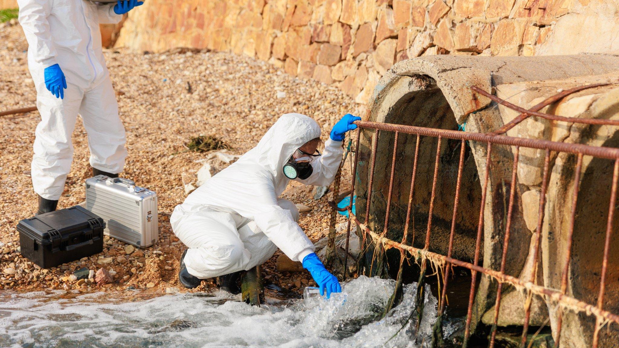 Scientists look at water samples