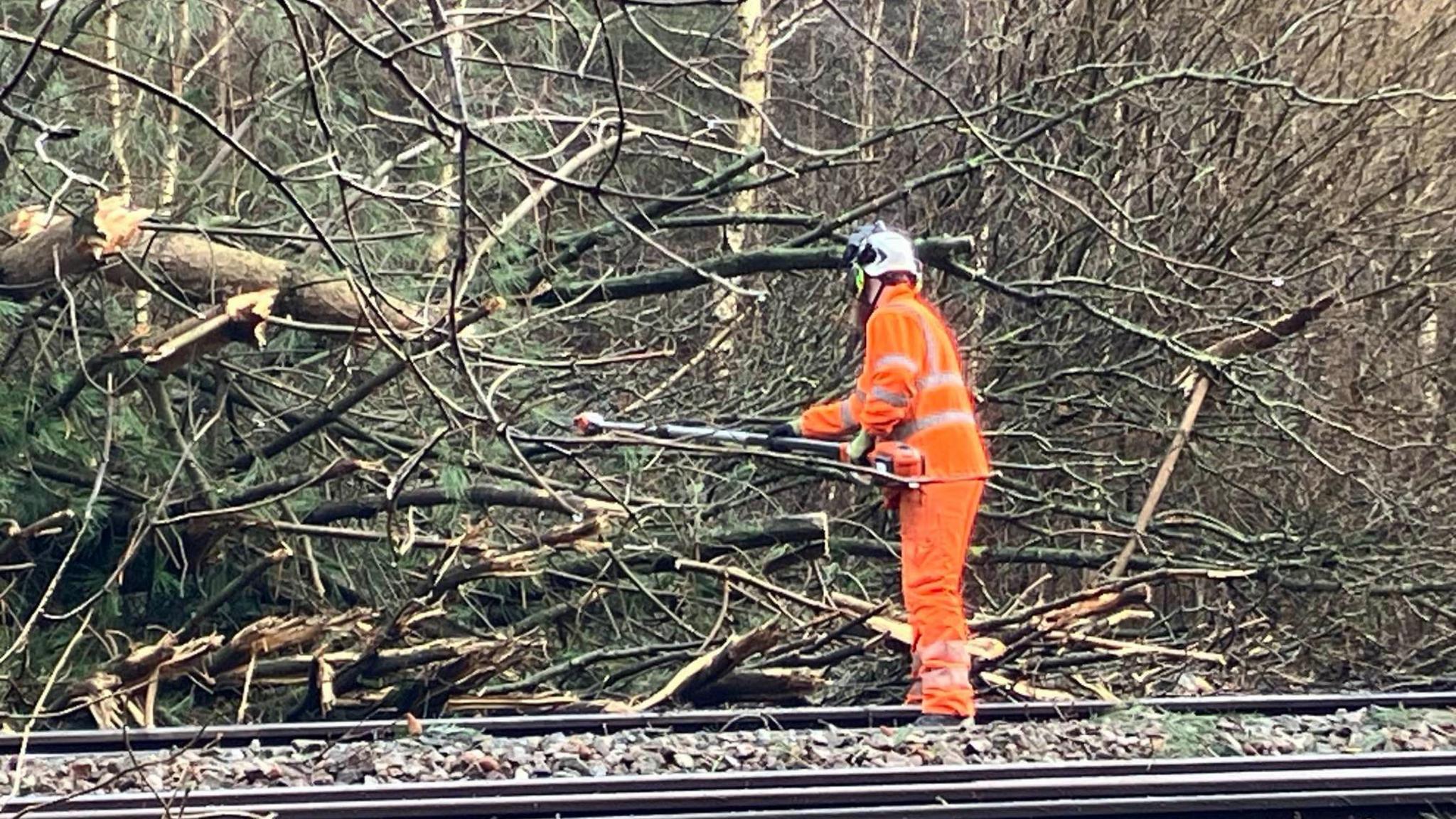 A man in a fluorescent orange suit is chopping down a tree. He has his back to the camera and is wearing a white helmet. He is stood on the railway tracks cutting down a tree.