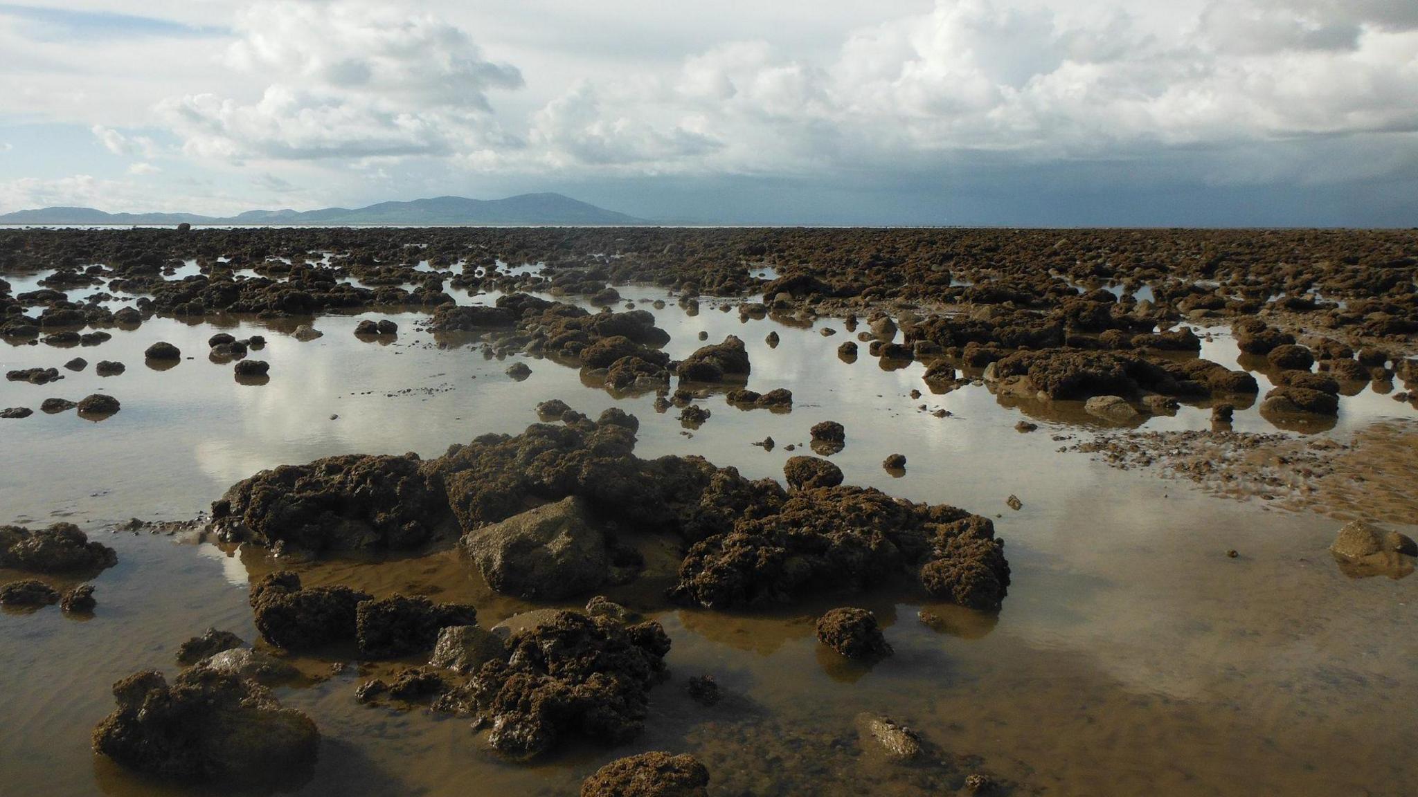 View of a rocky shoreline with partially submerged reefs stretching into the distance under cloudy skies.