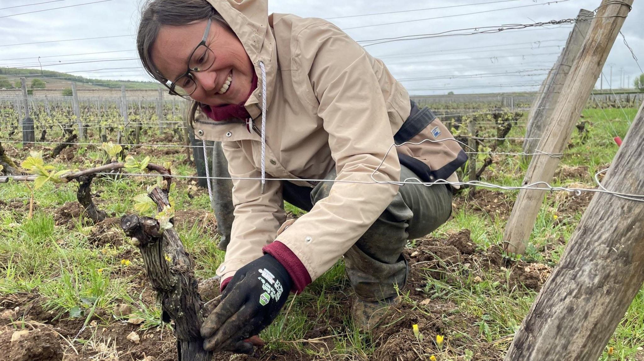 Élodie Bonet tending to some of the vines owned by Domaine Cecile Tremblay
